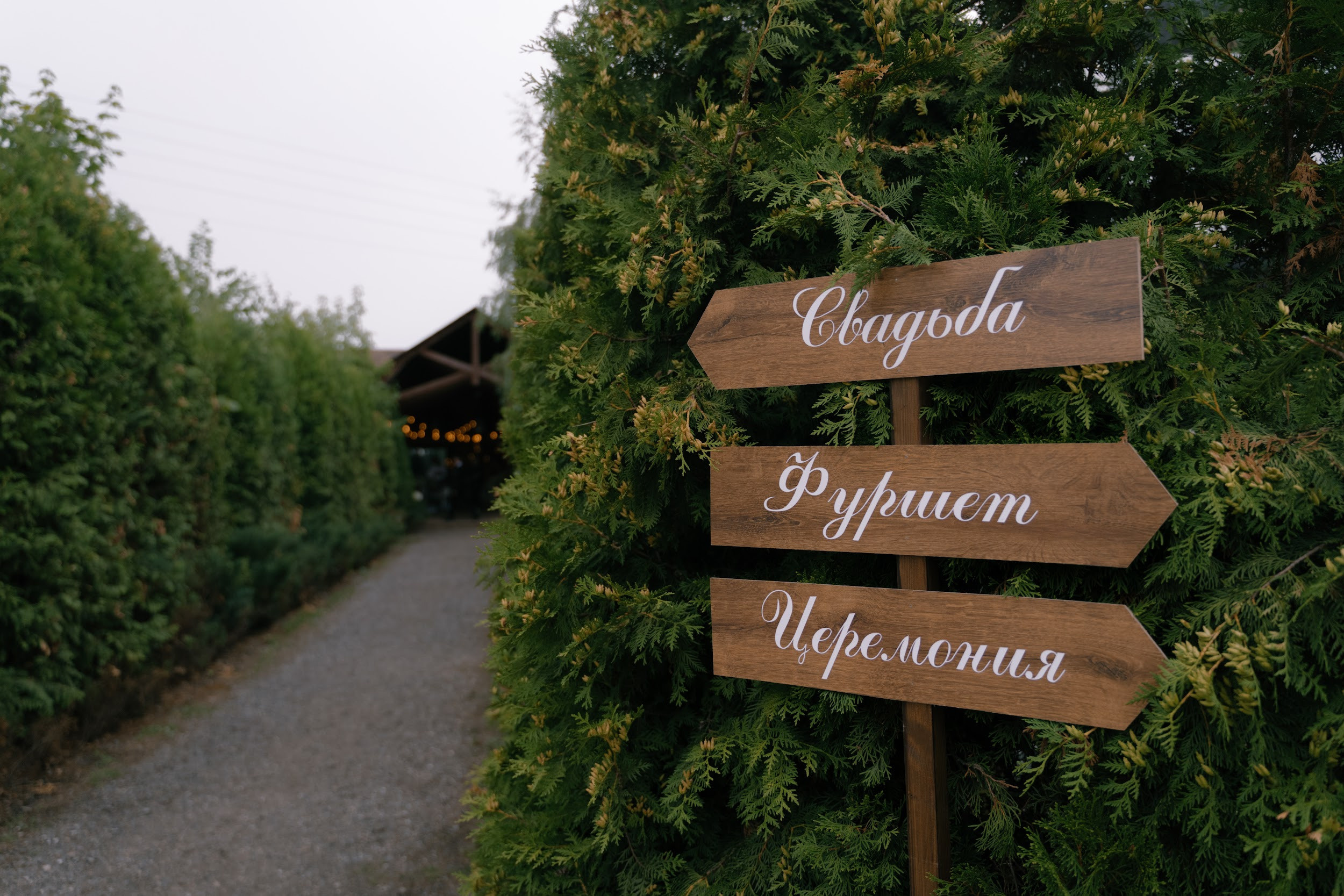 Руслан и Варвара. Организация и координация свадебных и семейных торжеств