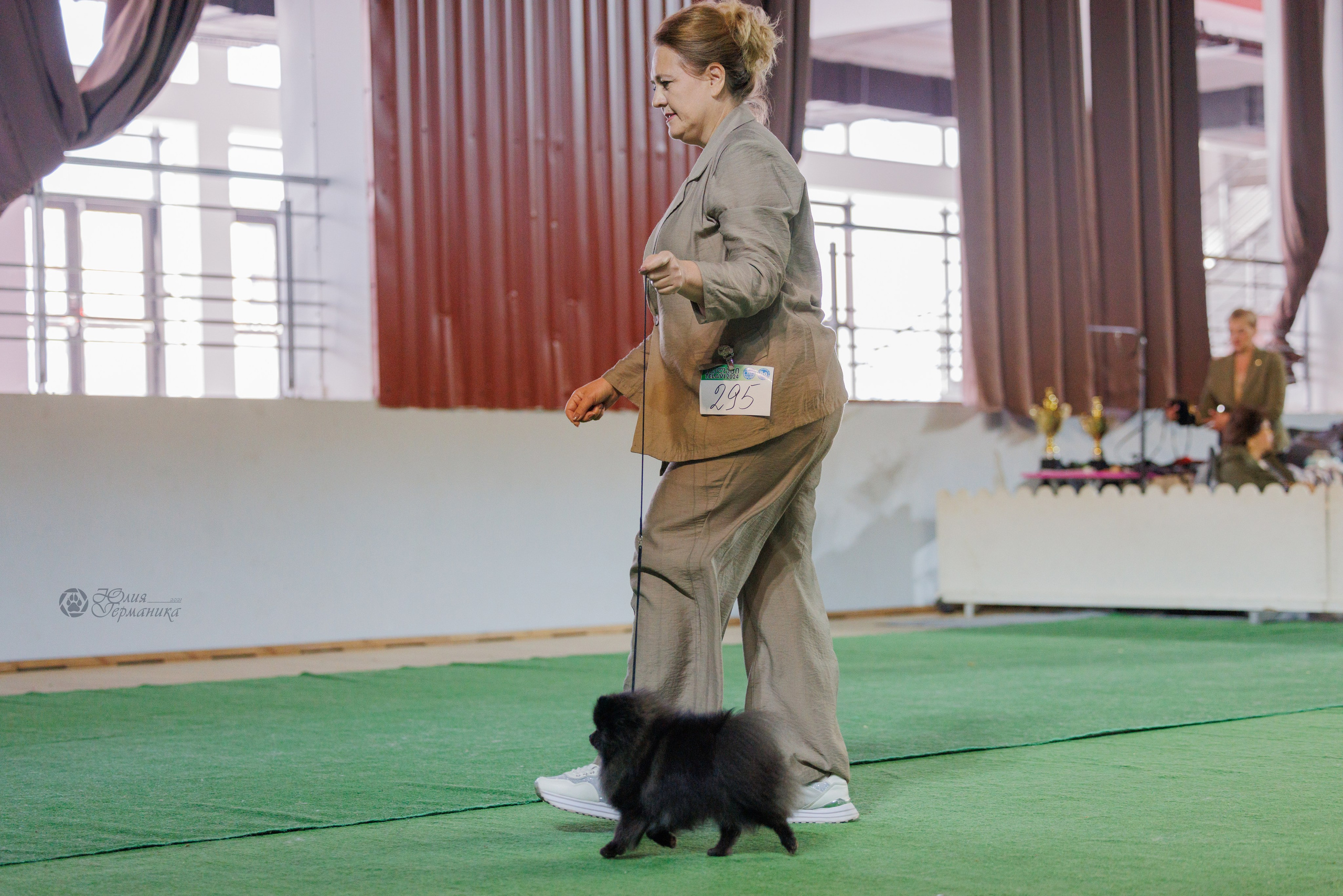 Грузия,Телави 2хCACIB 19-20.10.2024. Фотограф-анималист Юлия Германика