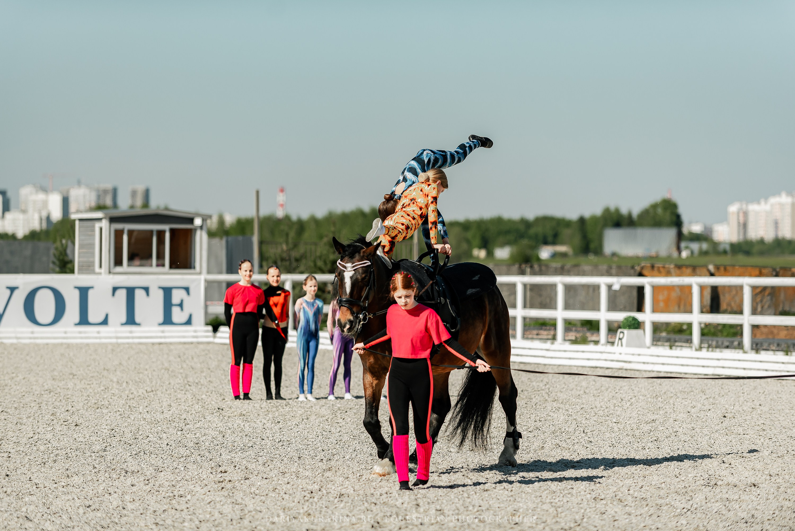 РЕПОРТАЖ МКК ВОЛЬТ «LA TULIPS». Конный фотограф Куракина Дарья • Фотосессии с лошадьми