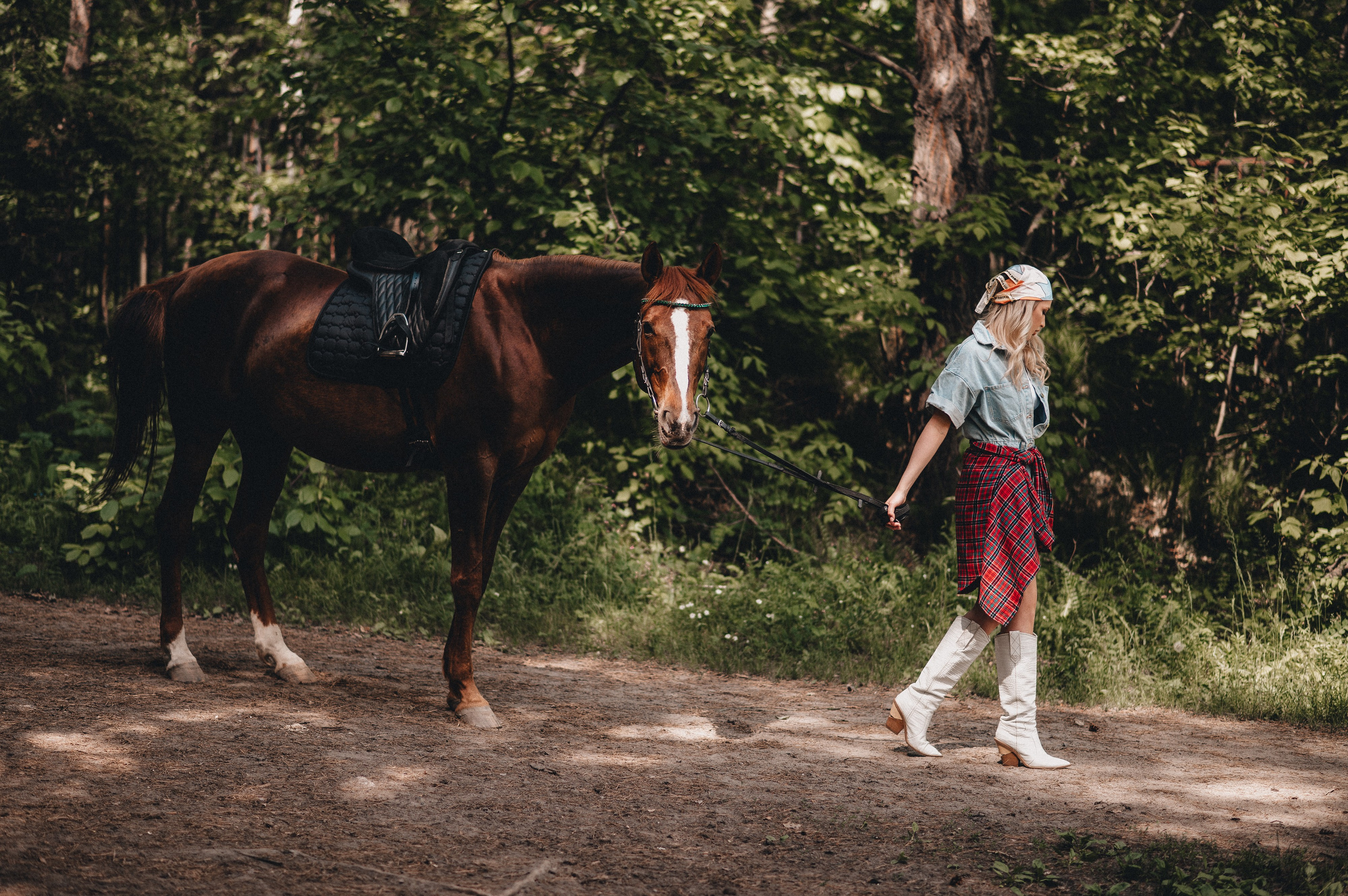 Съёмка с лошадью. Главная