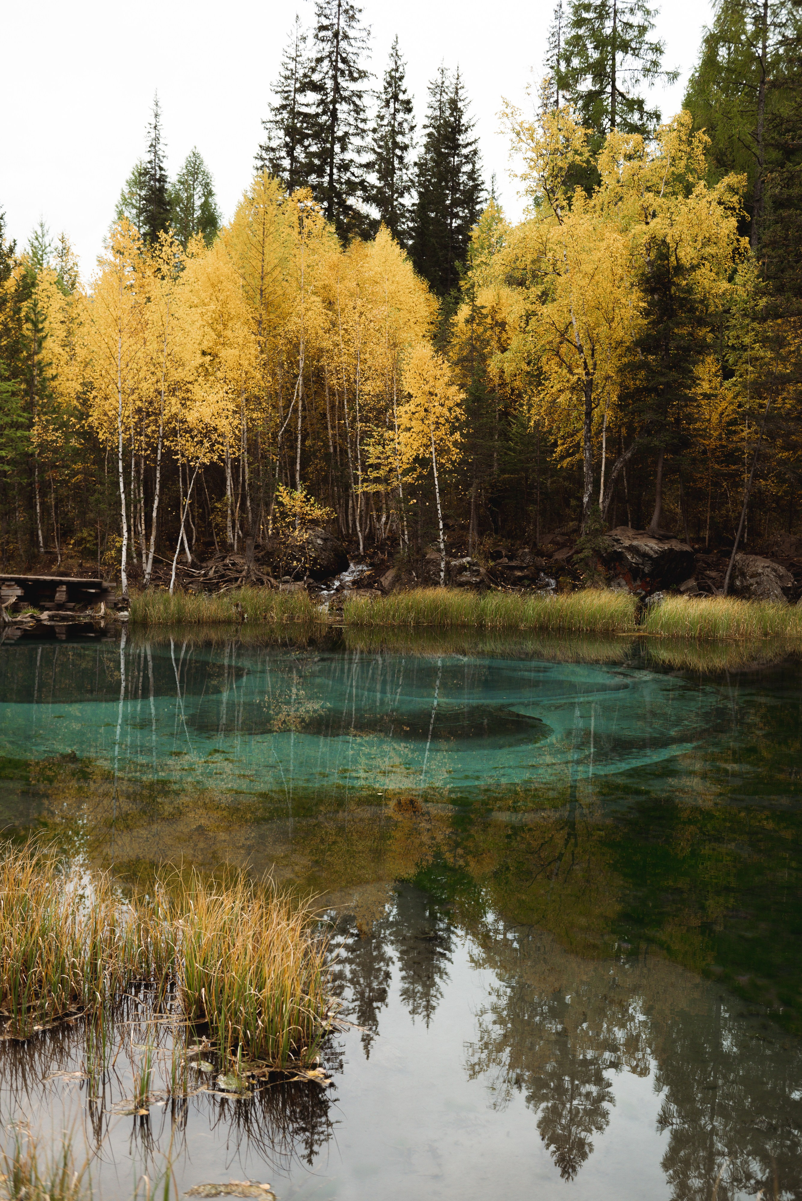 Ретрит по Горному Алтаю. Фотограф Москва Настя Профотовна. Репортажные, свадебные и контент фотосессии