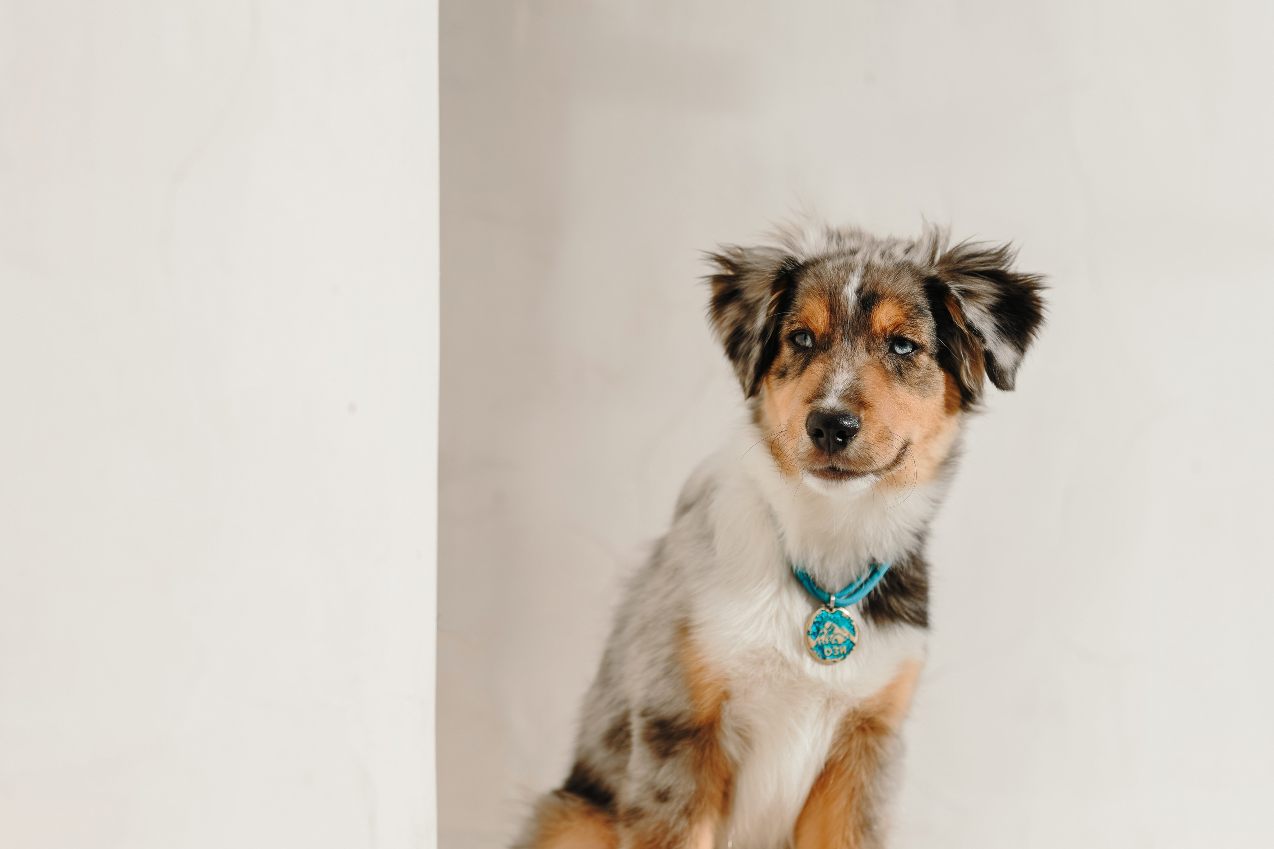 Художественная съёмка