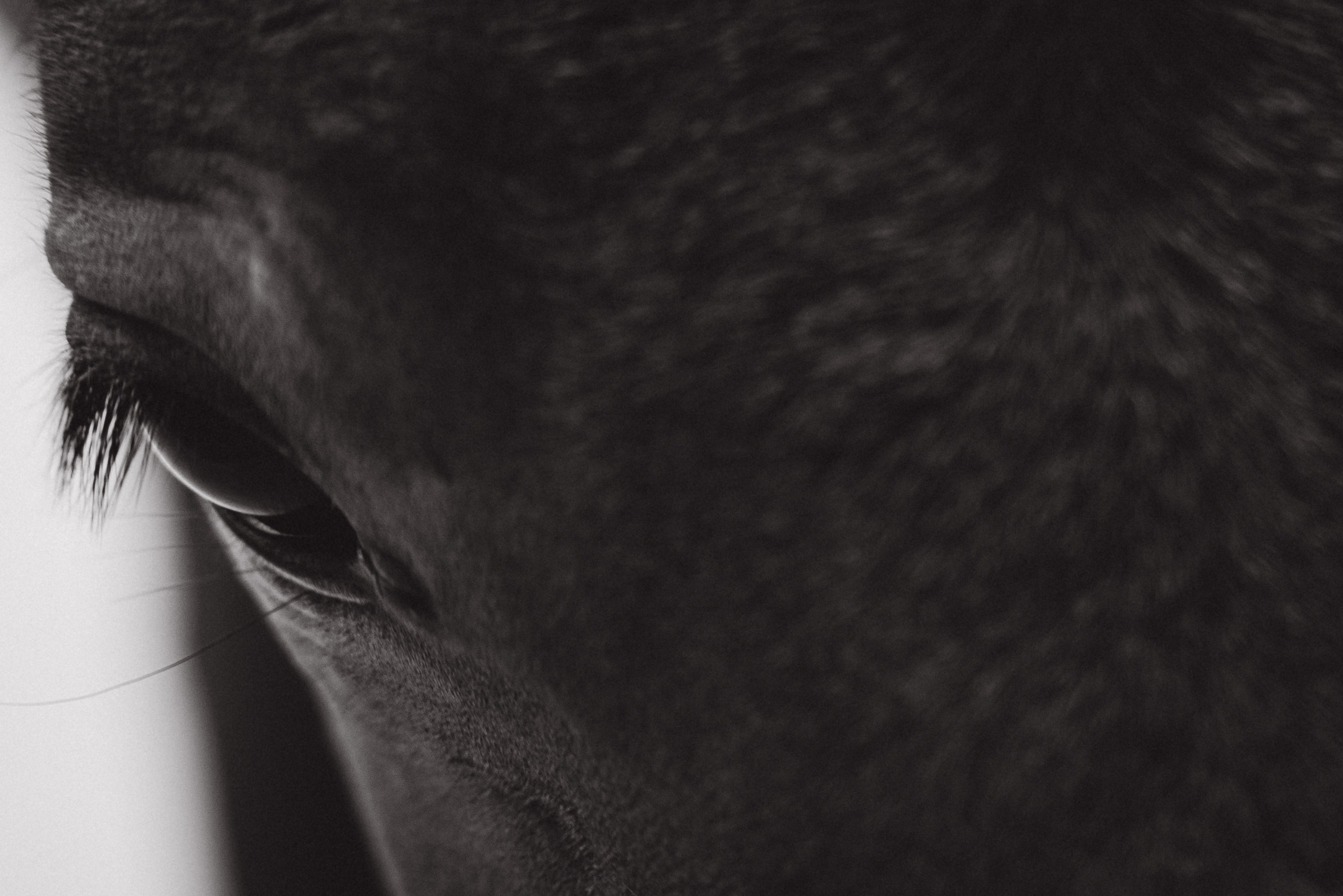 Полина + Ян. Фотограф Мария Миллс | Минск