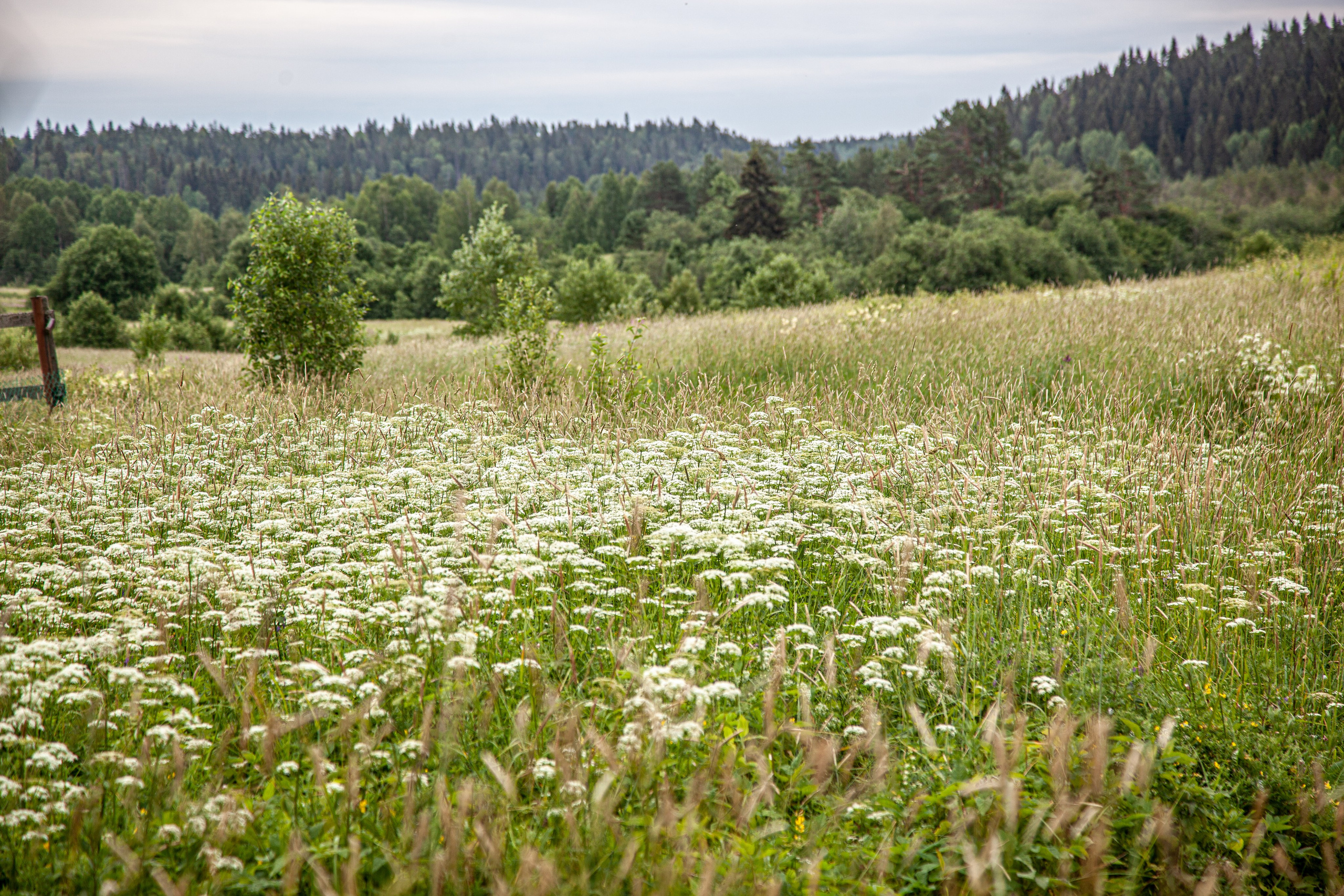 Glampimg camp. Maria Poleshchuk, commercial photographer in Sydney