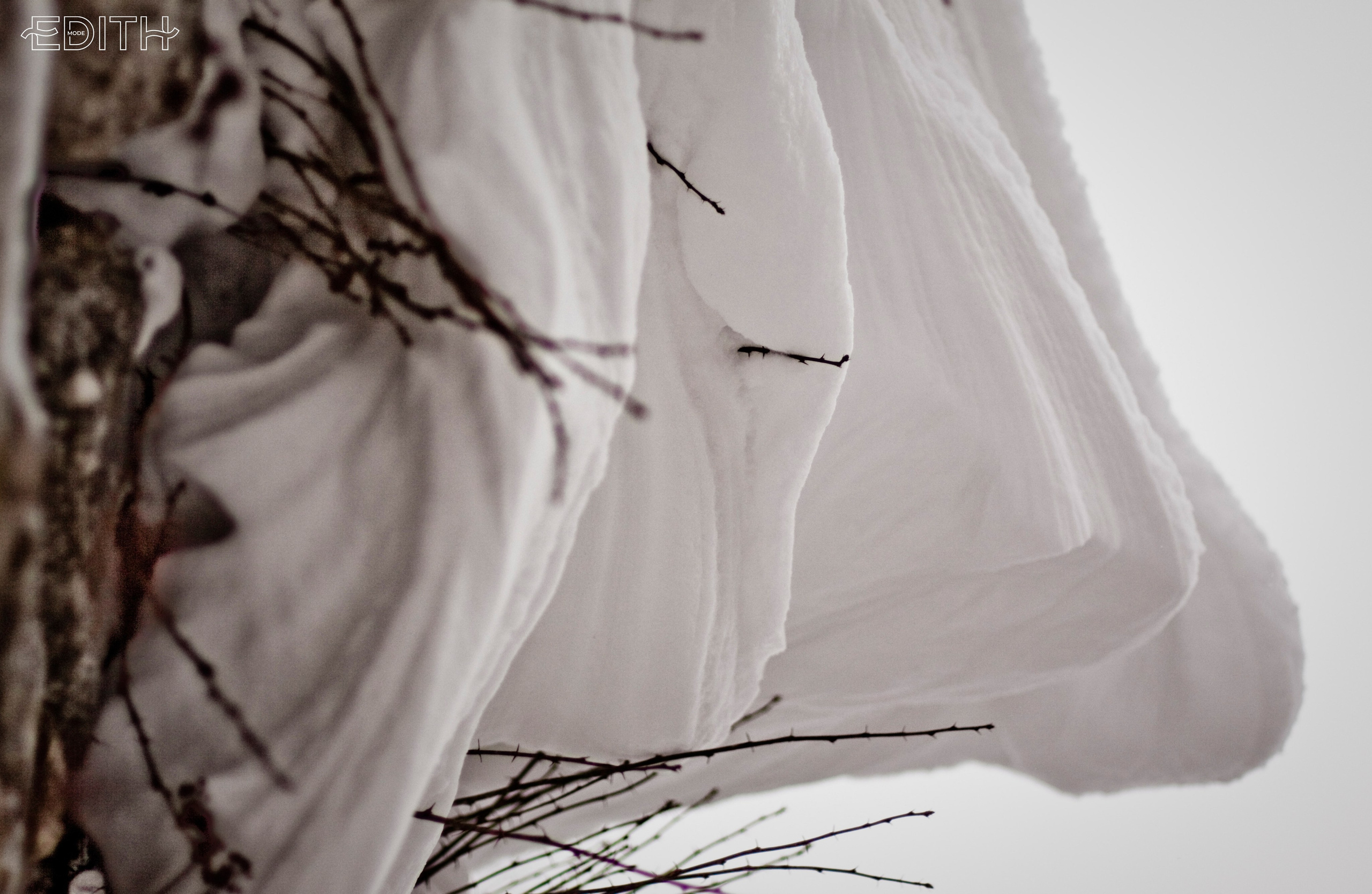 Edith Mode. Фотограф Александра Степанова