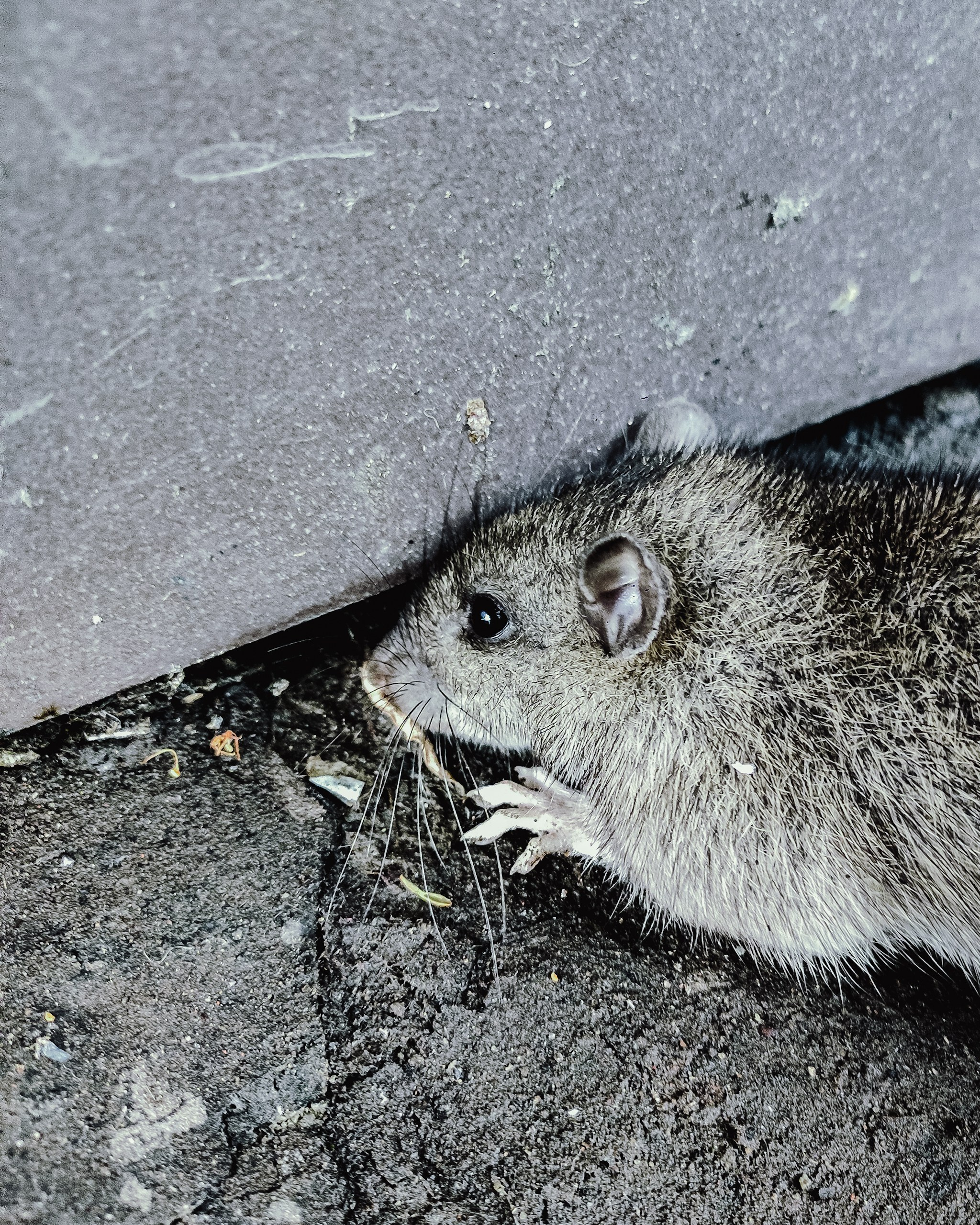 Мир повседневных Вещей. Репортажный и портретный фотограф, Влад Хафизов, Москва