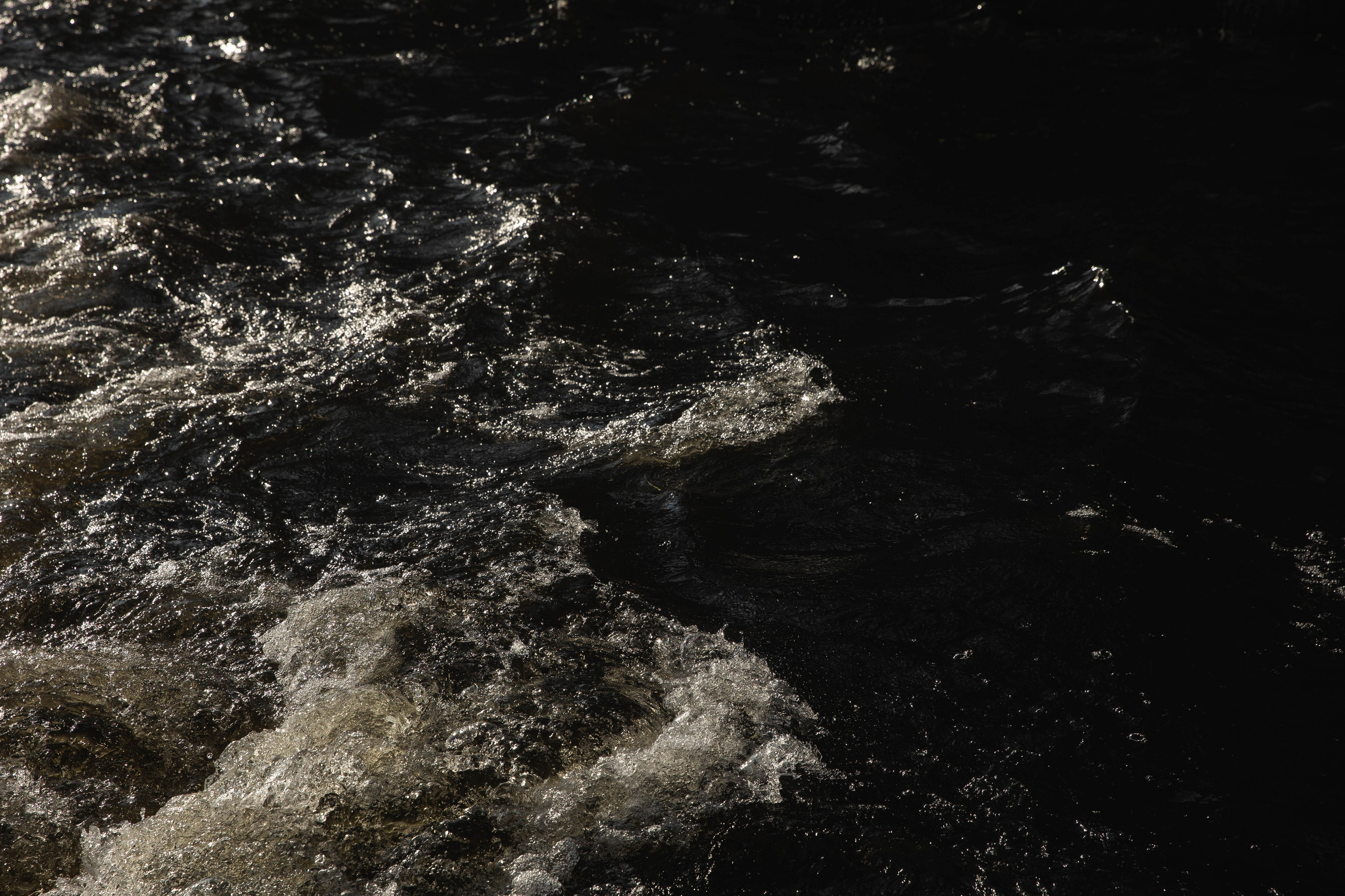 Флажолет. Свадебный фотограф Юлия Шторм