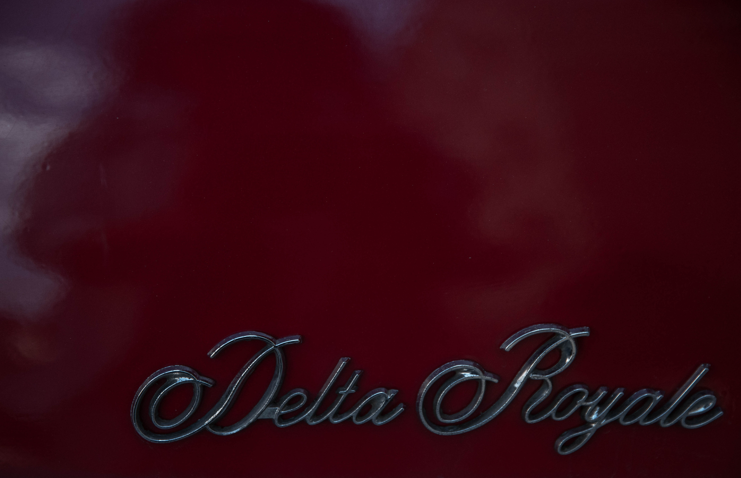 Флажолет. Свадебный фотограф Юлия Шторм