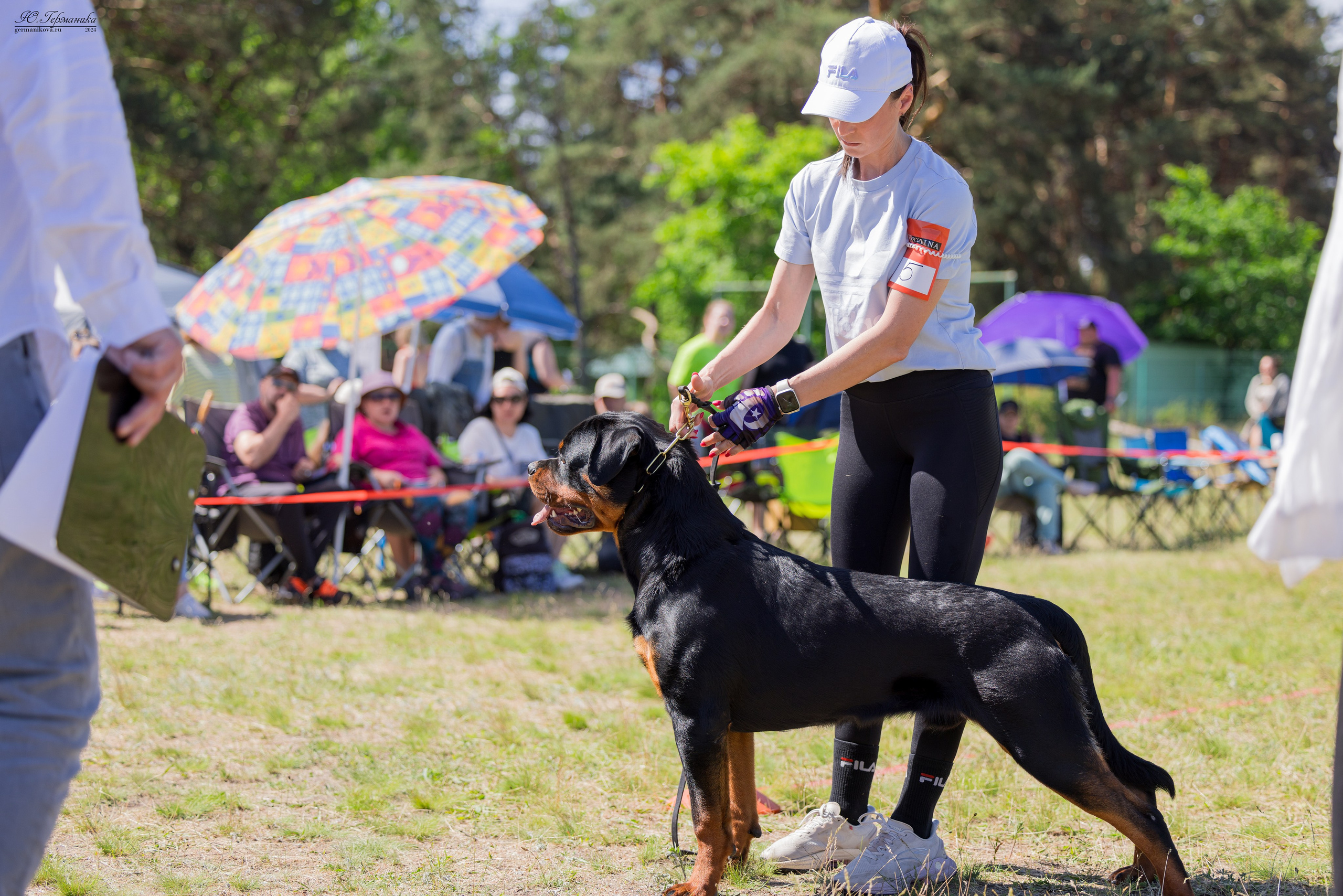 Воронеж моно ротвейлеров 25-26.05.2024. Фотограф-анималист Юлия Германика