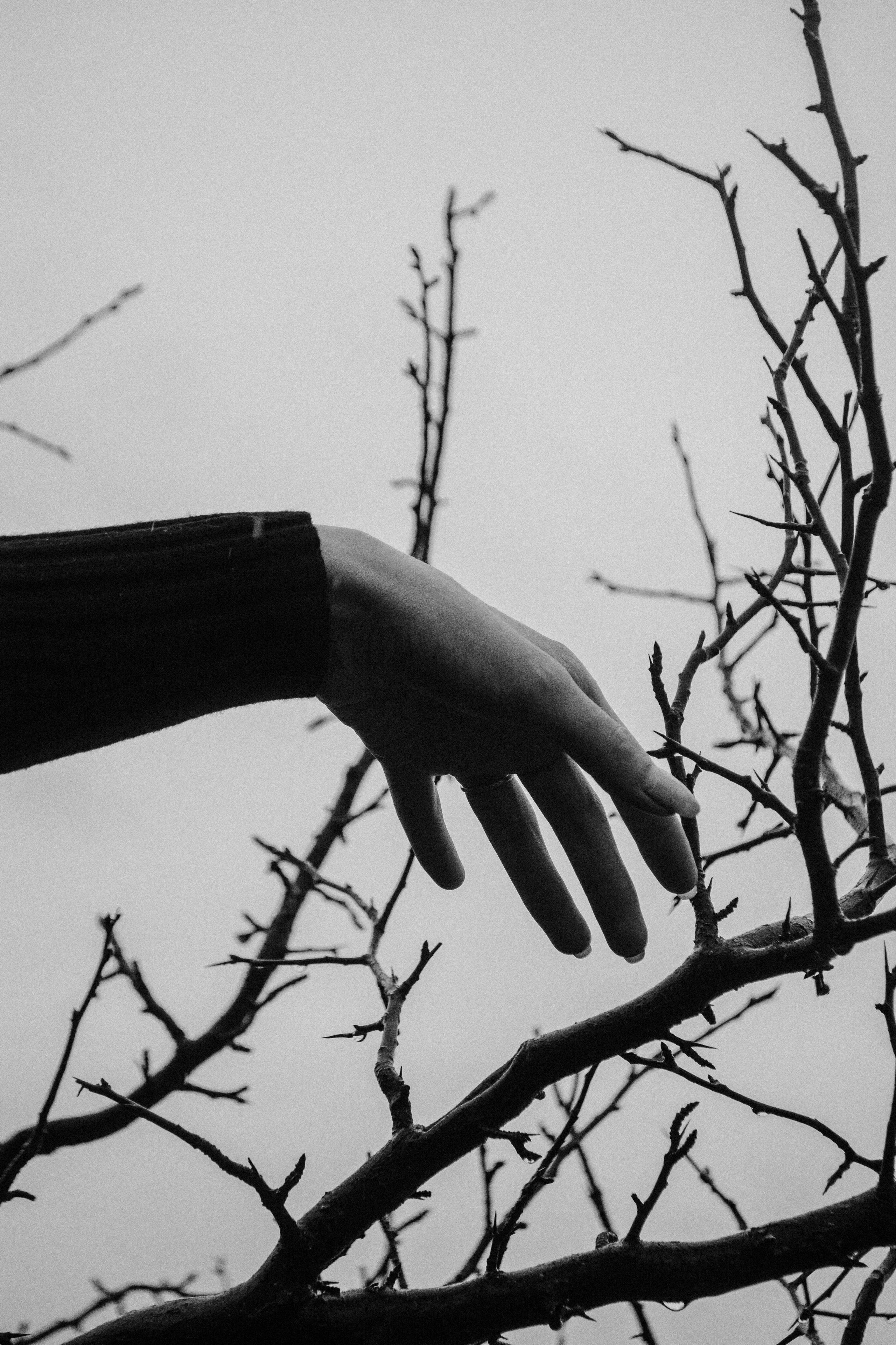 Туманная съемка. Портретный и свадебный фотограф в Тбилиси • xeniqo