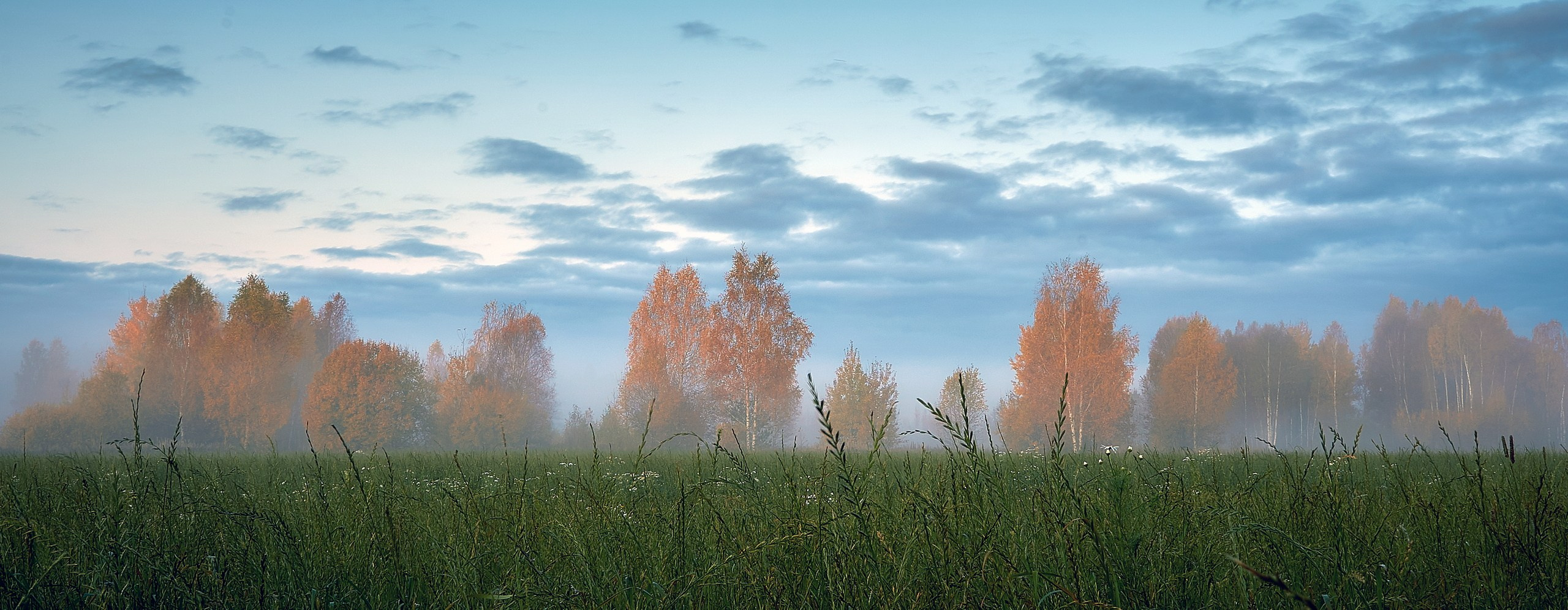 Пейзаж — галерея NATRIEL