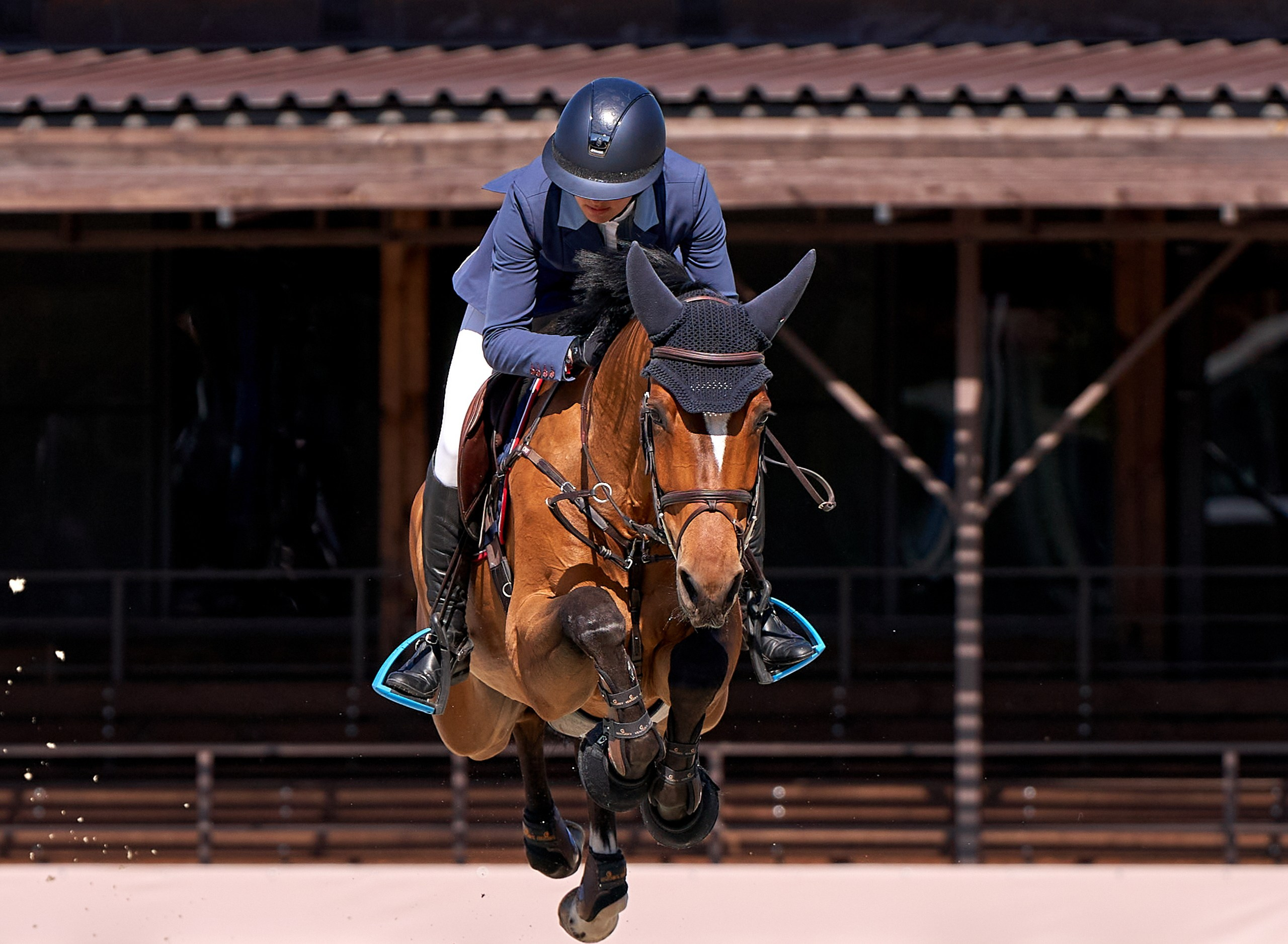 Соревнования на лошадях — галерея NATRIEL