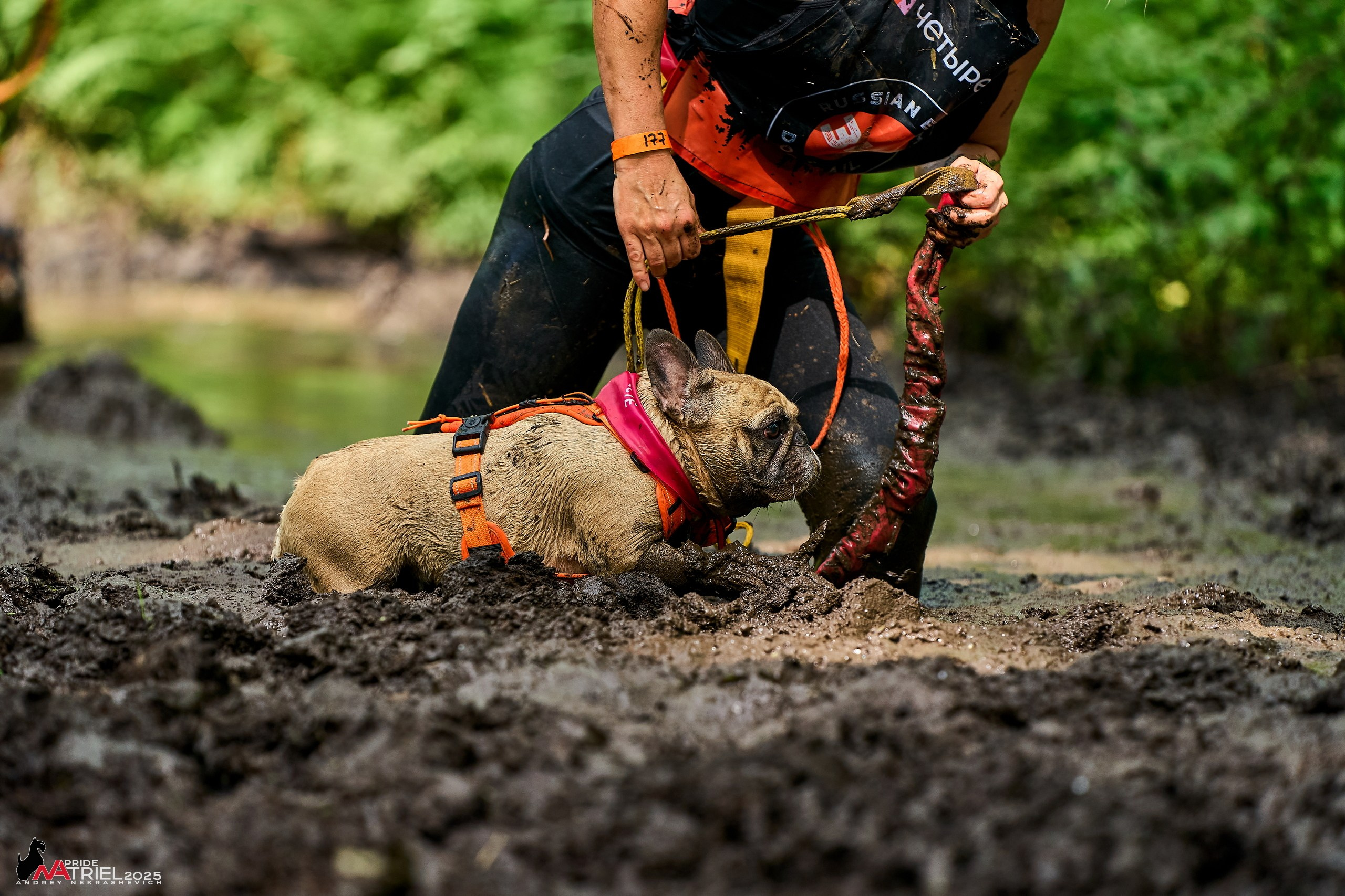Russian Extreme Dog Trail — 2025