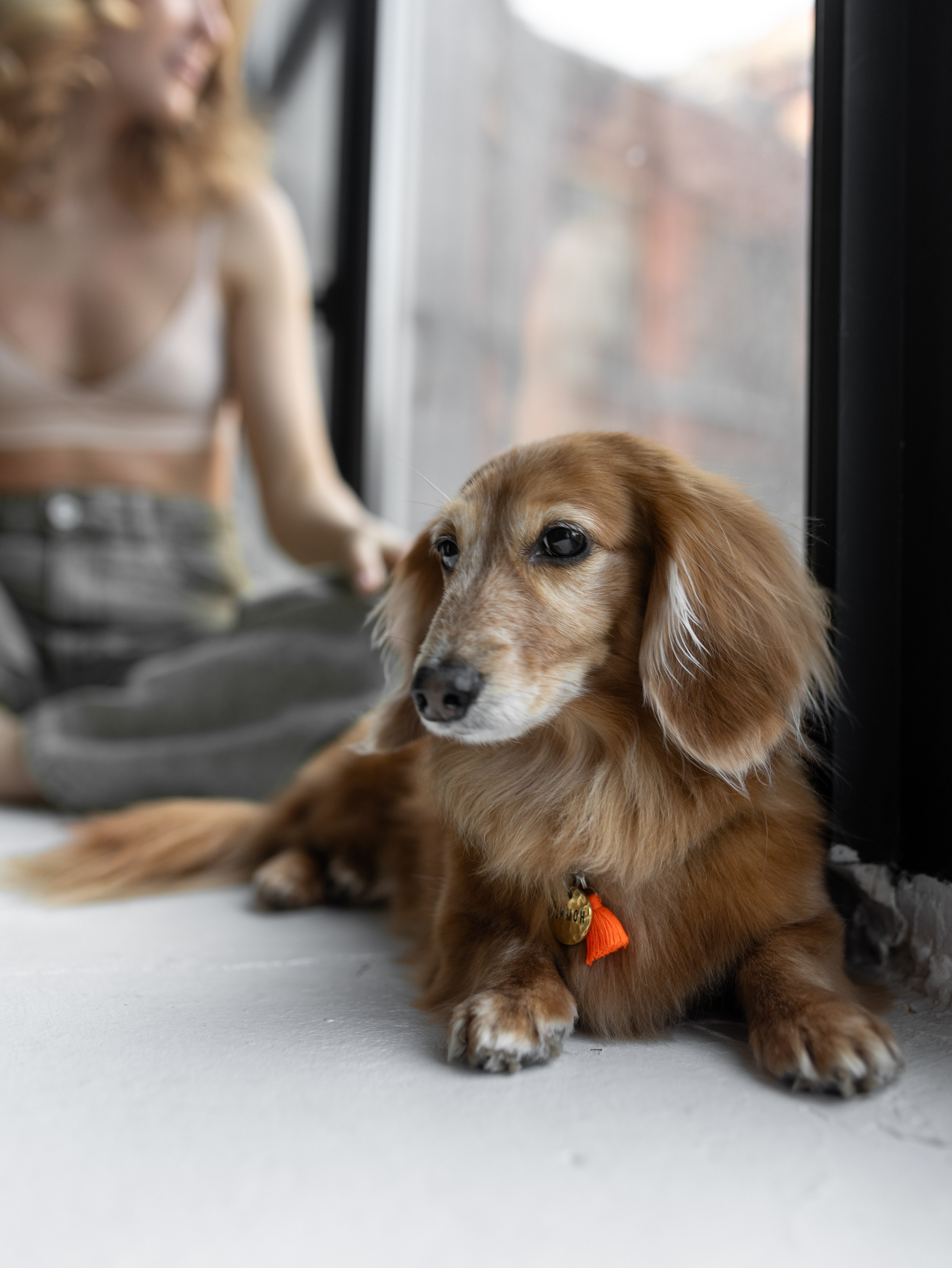 Лимон и Аня. Фотограф-анималист в Москве Кириллова Татьяна