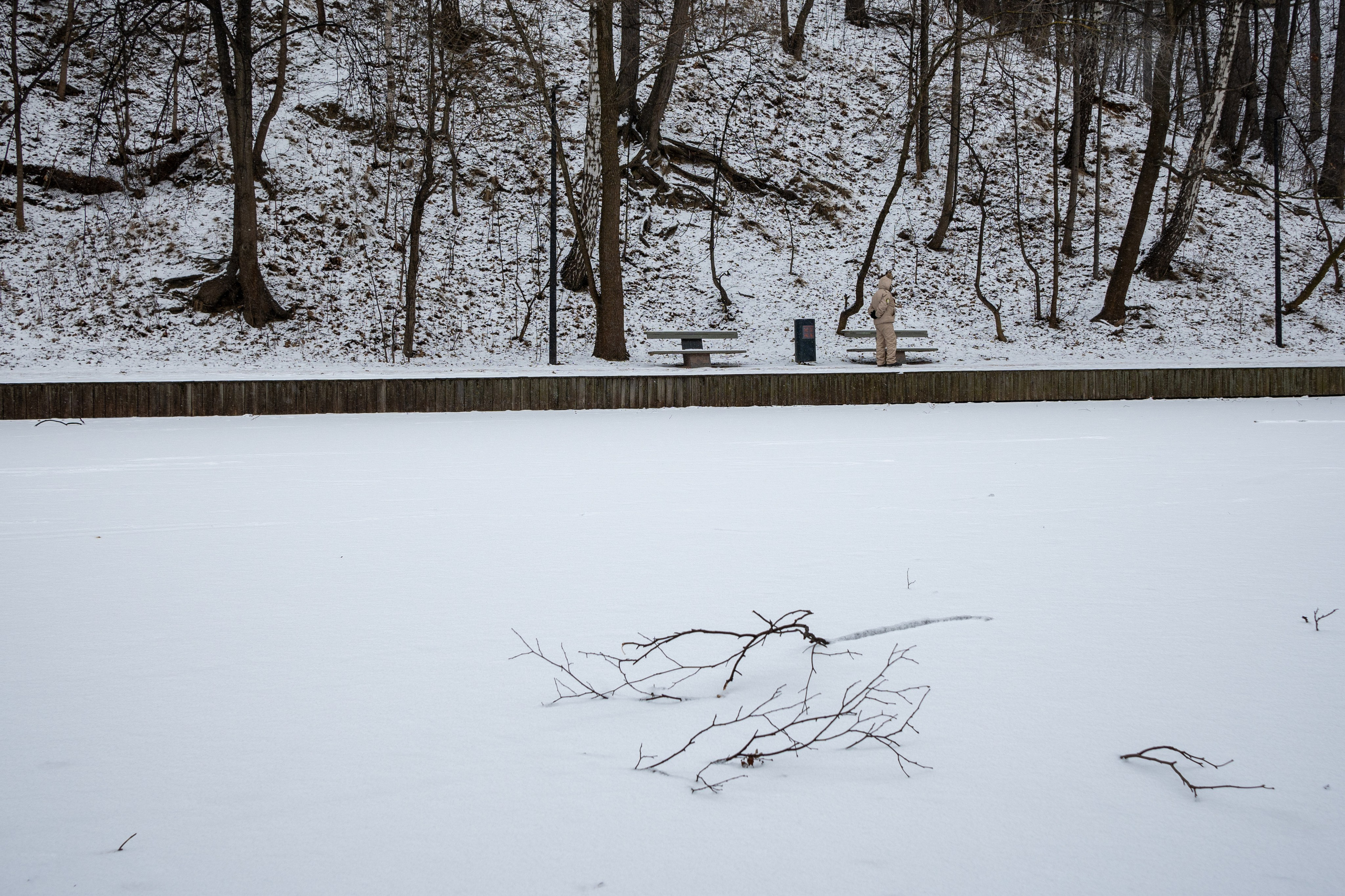 20250216 Нескучный сад. Дмитрий Ремизов. Фотография, как хобби