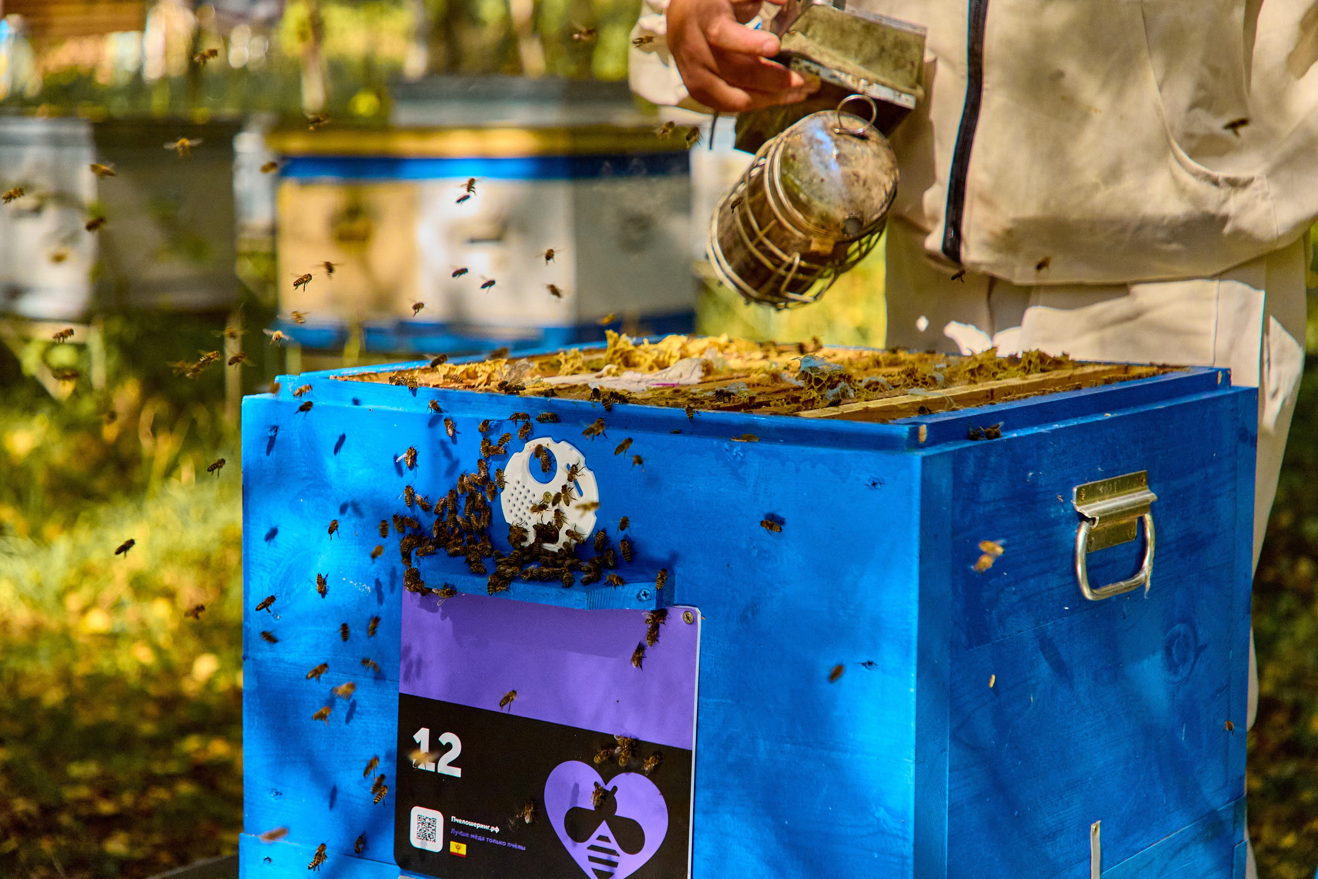 Пчелошеринг х пасека в г. Чебоксары. Святослав Лебедев | Рекламный фотограф — Коммерческая съемка, Арт-дирекшн, AI-интеграция