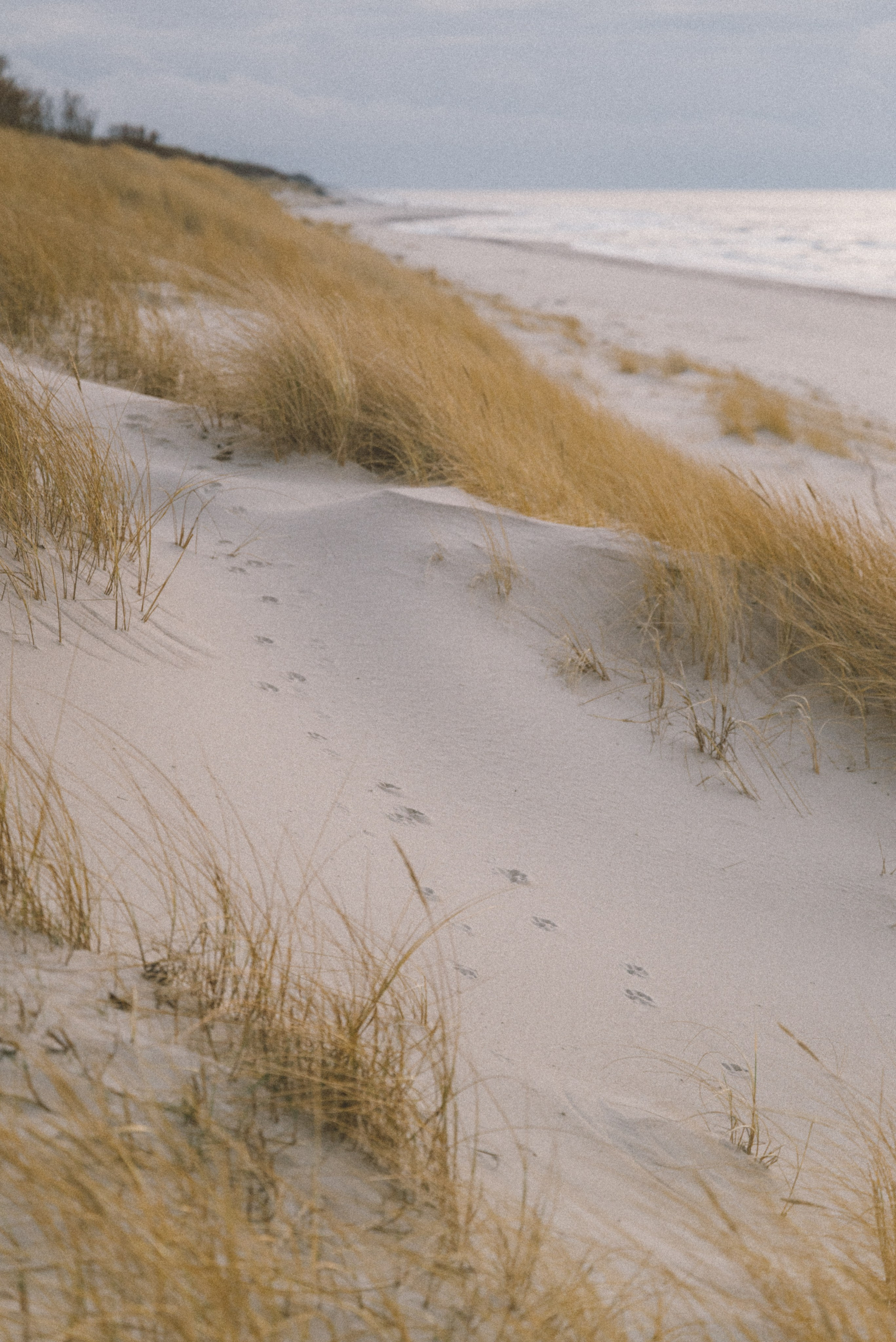 Алина. Фотограф Калининград Ангелина Воробьева