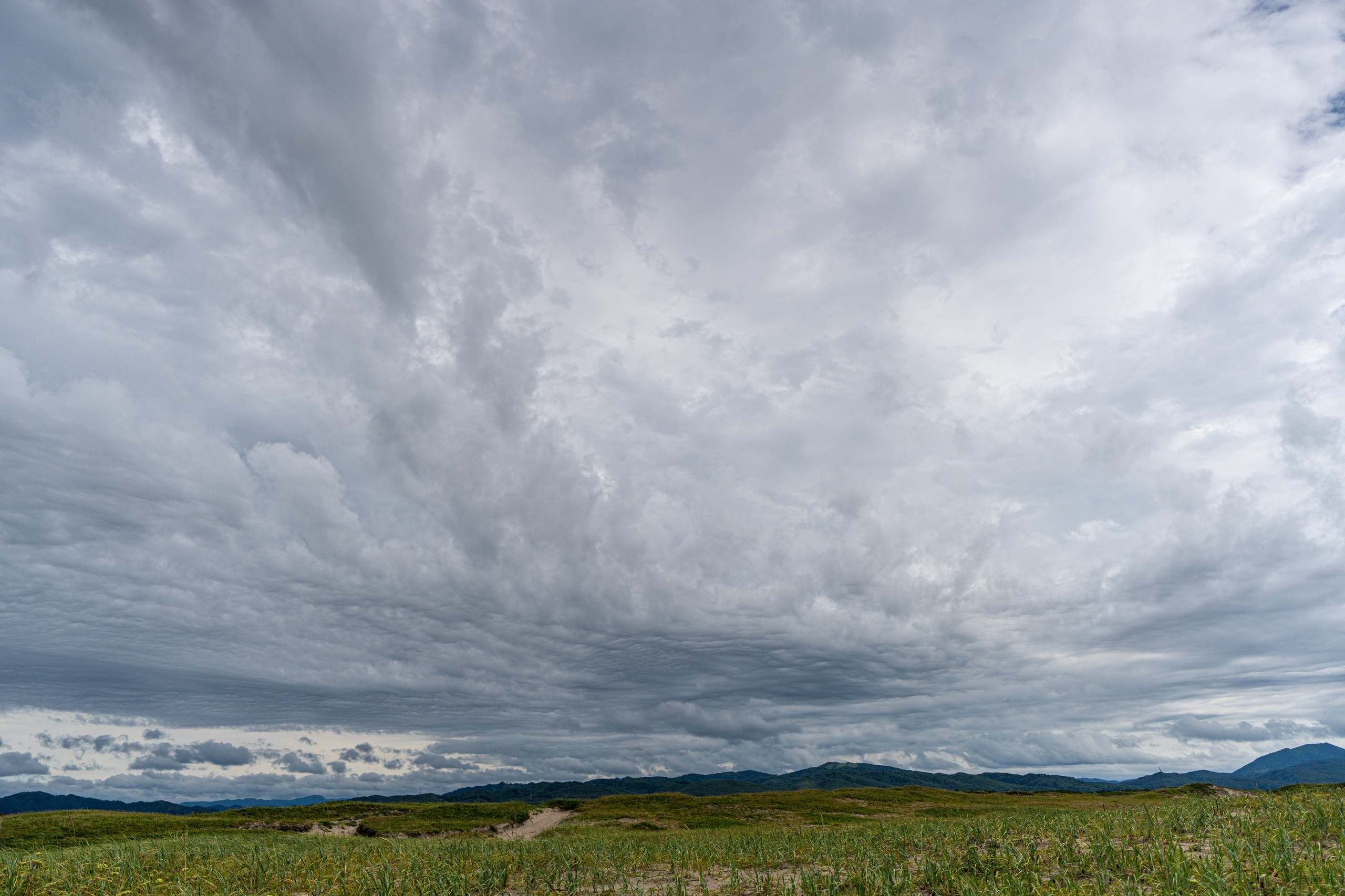 Сахалин 2025. Творческие сьемки