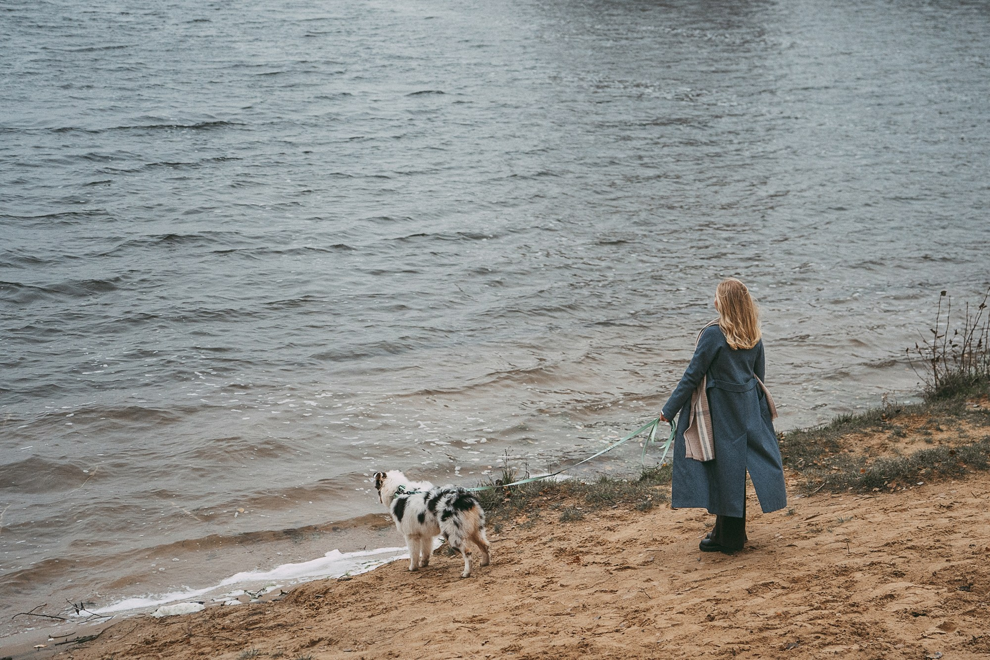Лиза и Бублик. Фотограф анималист в Москве и Санкт-Петербурге Свиридова Анна