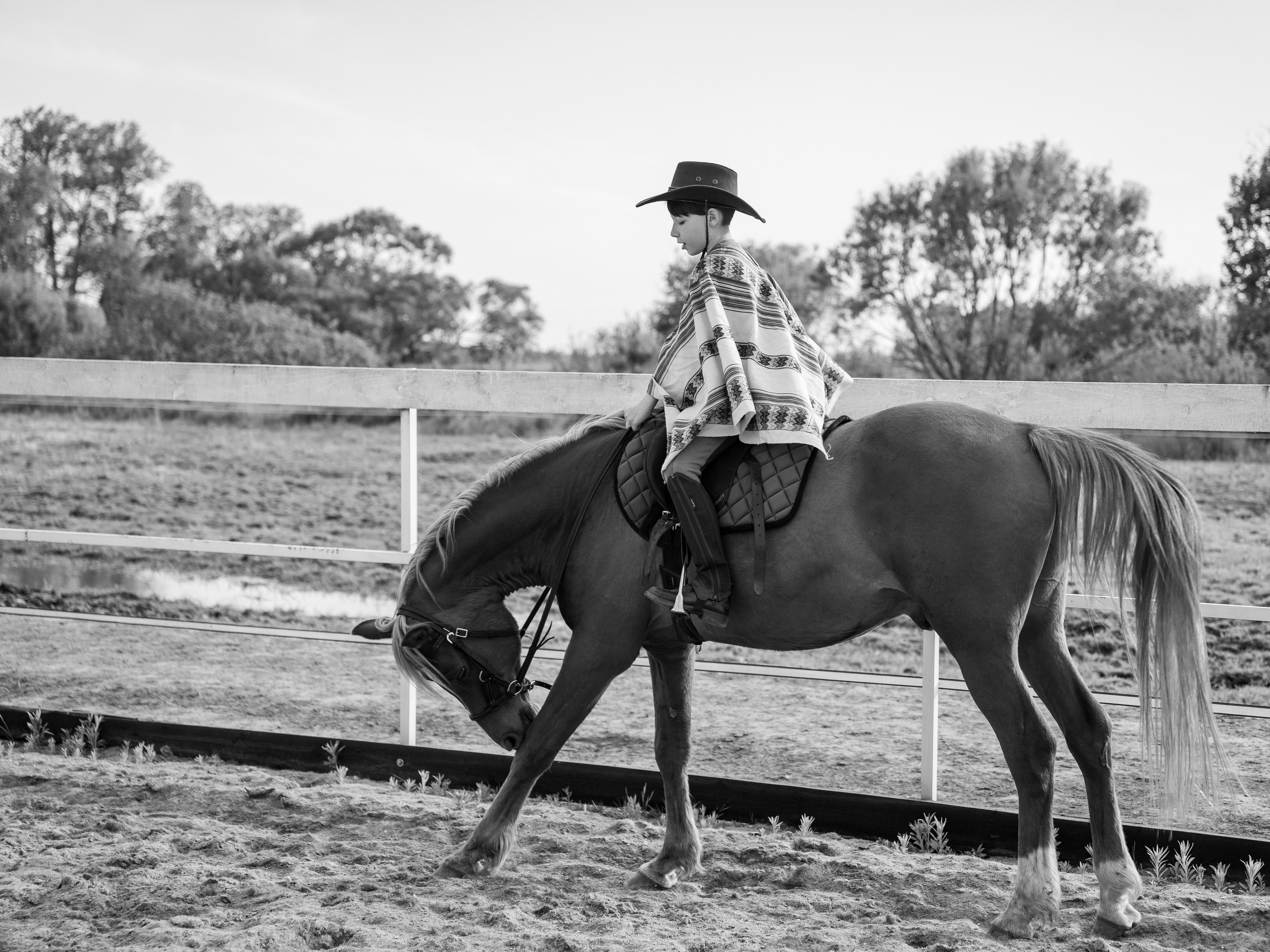 Выйти в лето в поле с конем. Видеограф и фотограф в Москве Анастасия Рябчикова