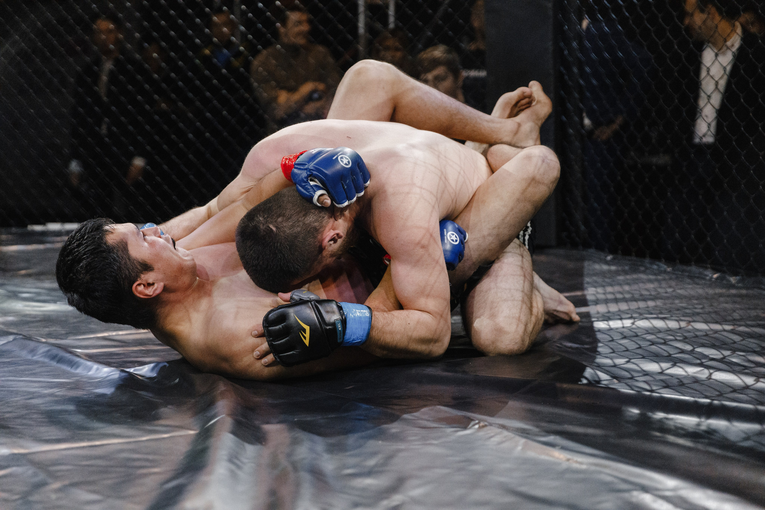 Турнир по ММА «Освобождение» 2023 г. Истра. Свадебный фотограф Фадеева Алёна