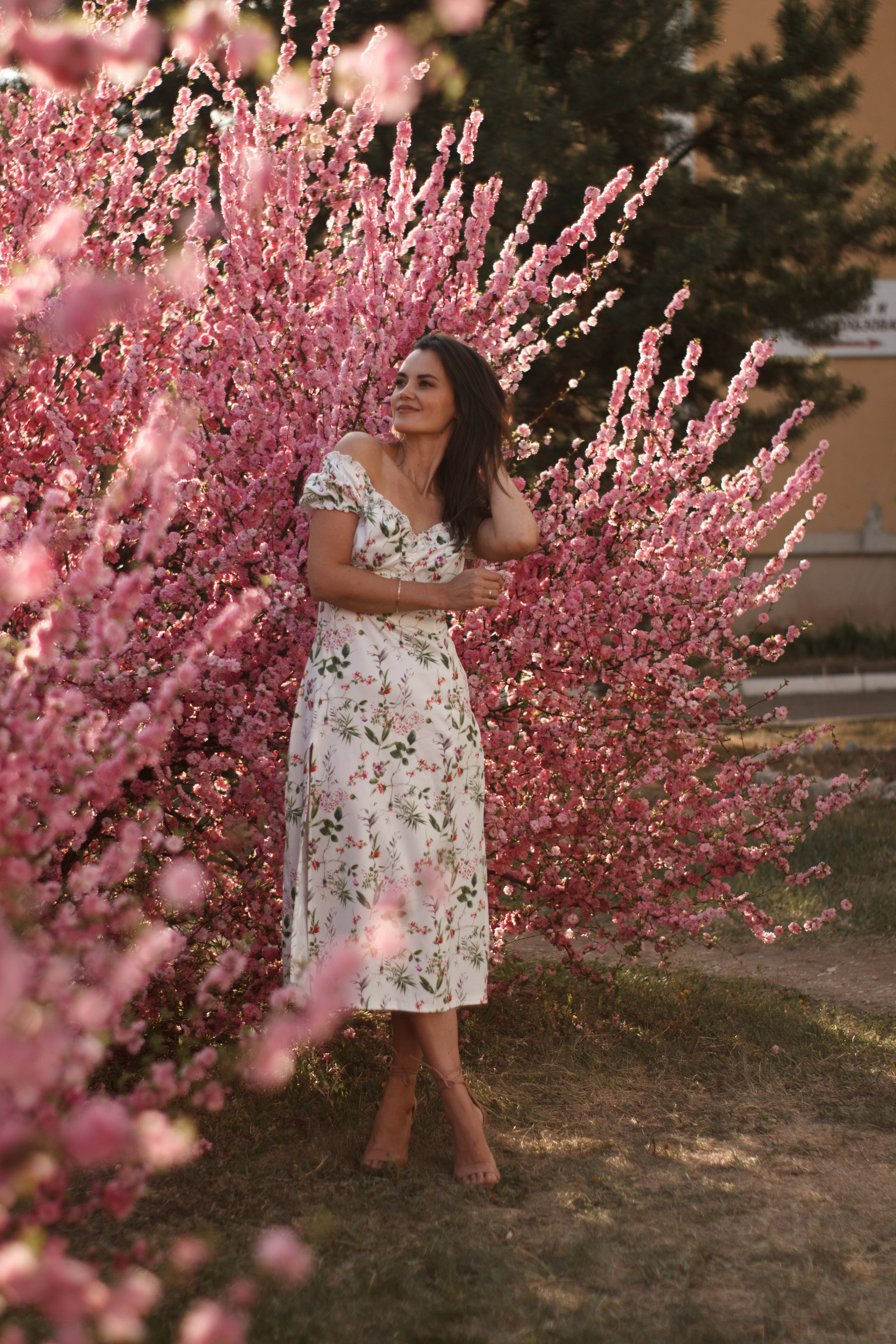 Съёмки в цветении. Медиа-продюсер и фотограф Сорокина Кристина г. Благовещенск