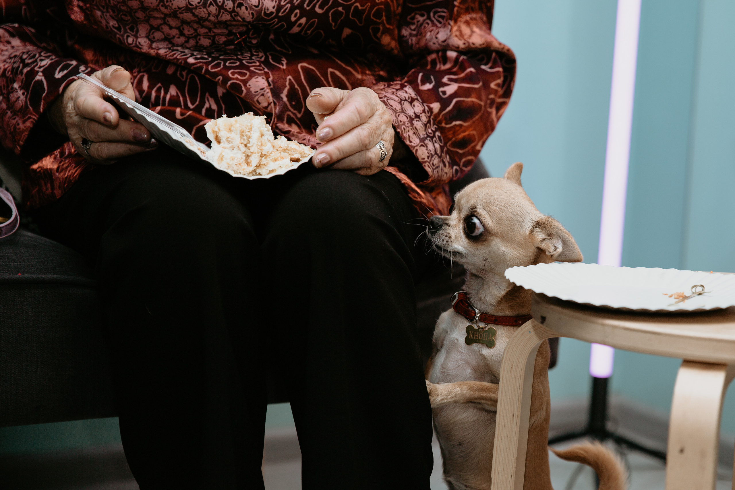 Мадмуазель поет Джаз. Свадебный и семейный фотограф в Москве Julia Juice