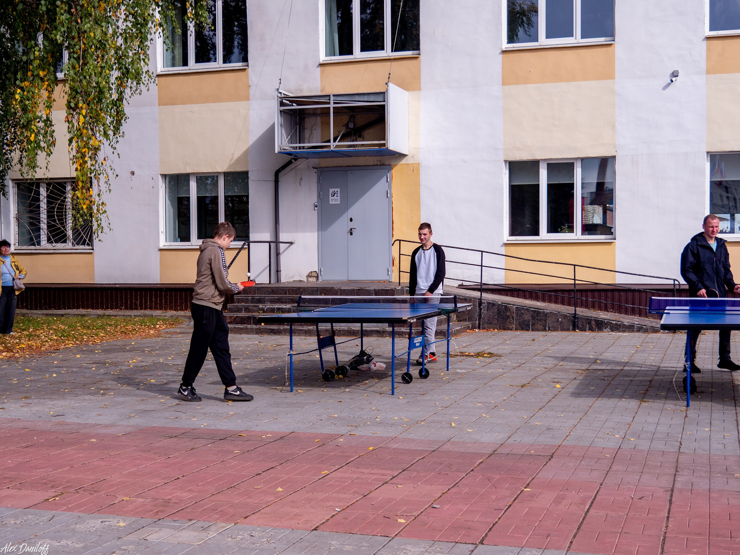 Кросс нации 25. Муром-Инфо. Новости культуры, образования, спорта в городе Муром