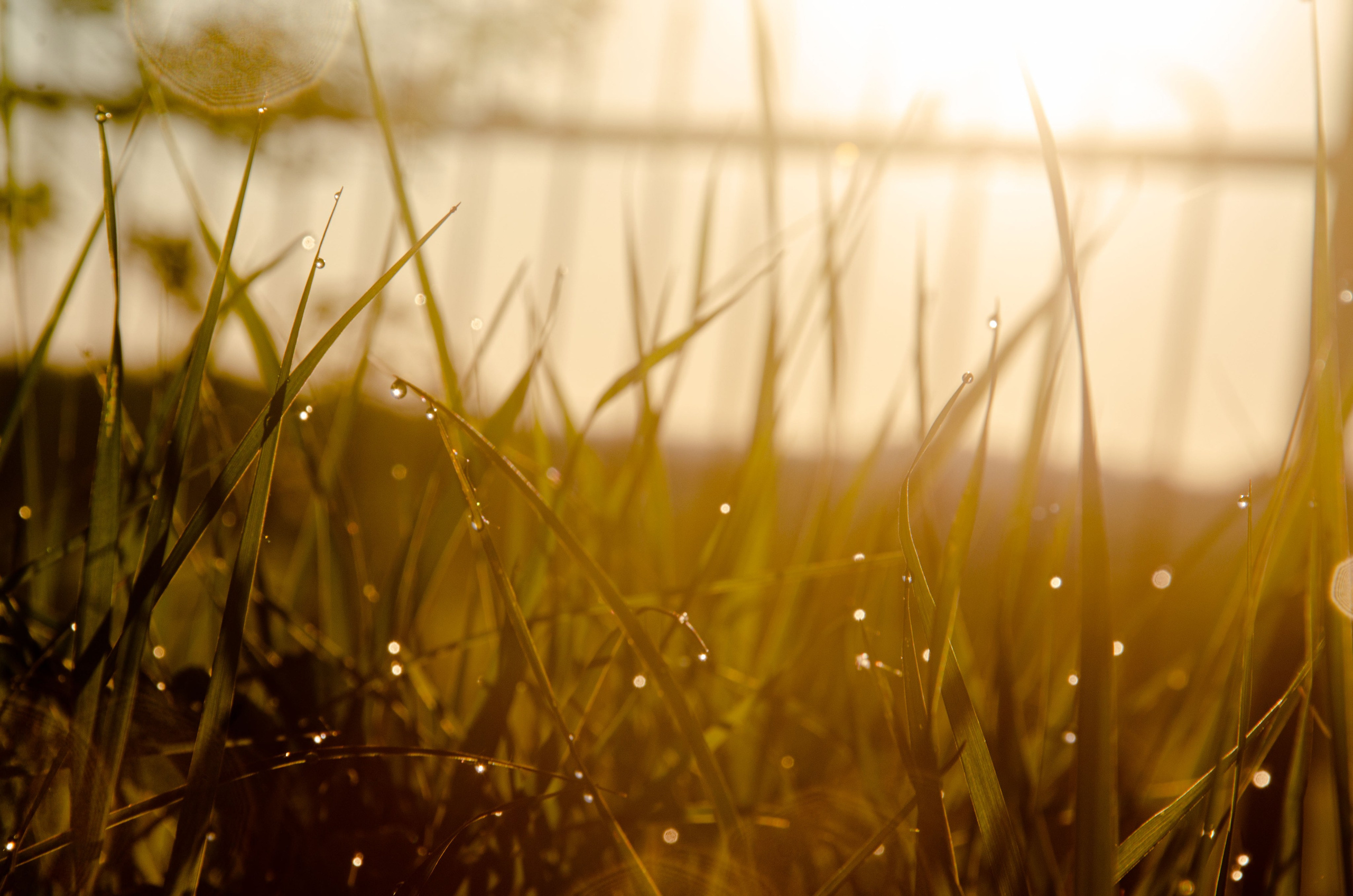 Мотофестивали. Фотограф в Москве