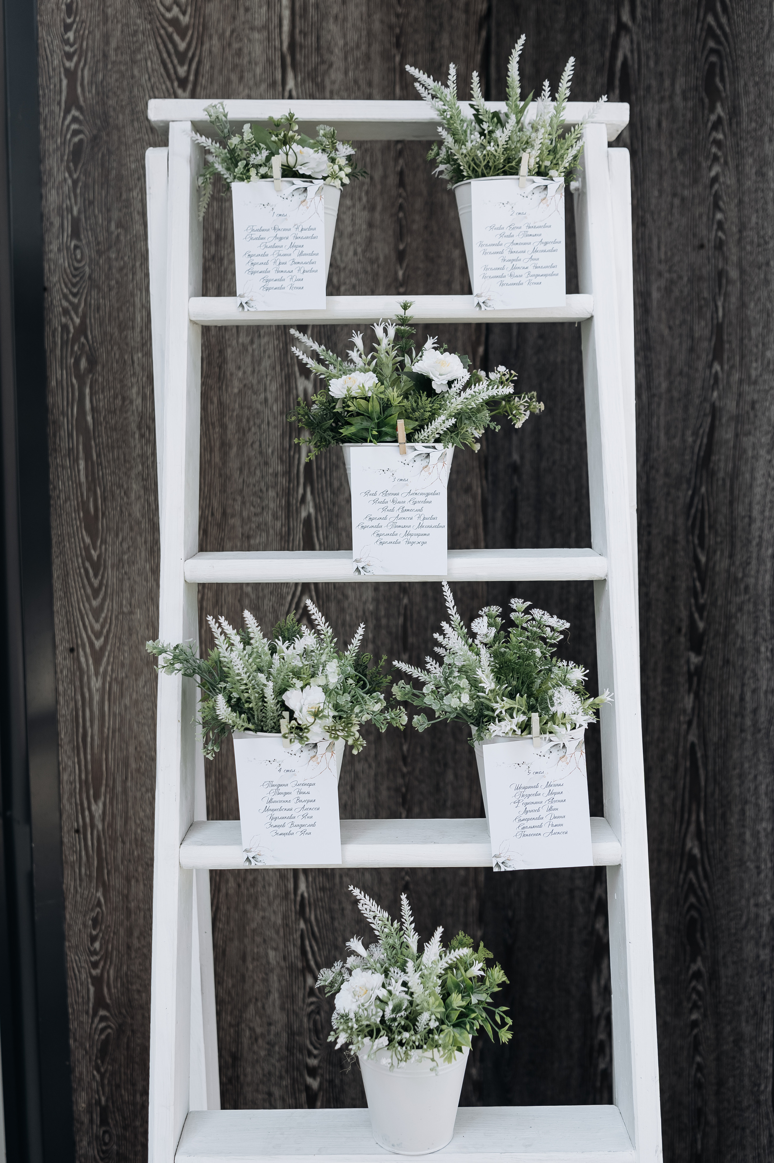 Даша и Андрей