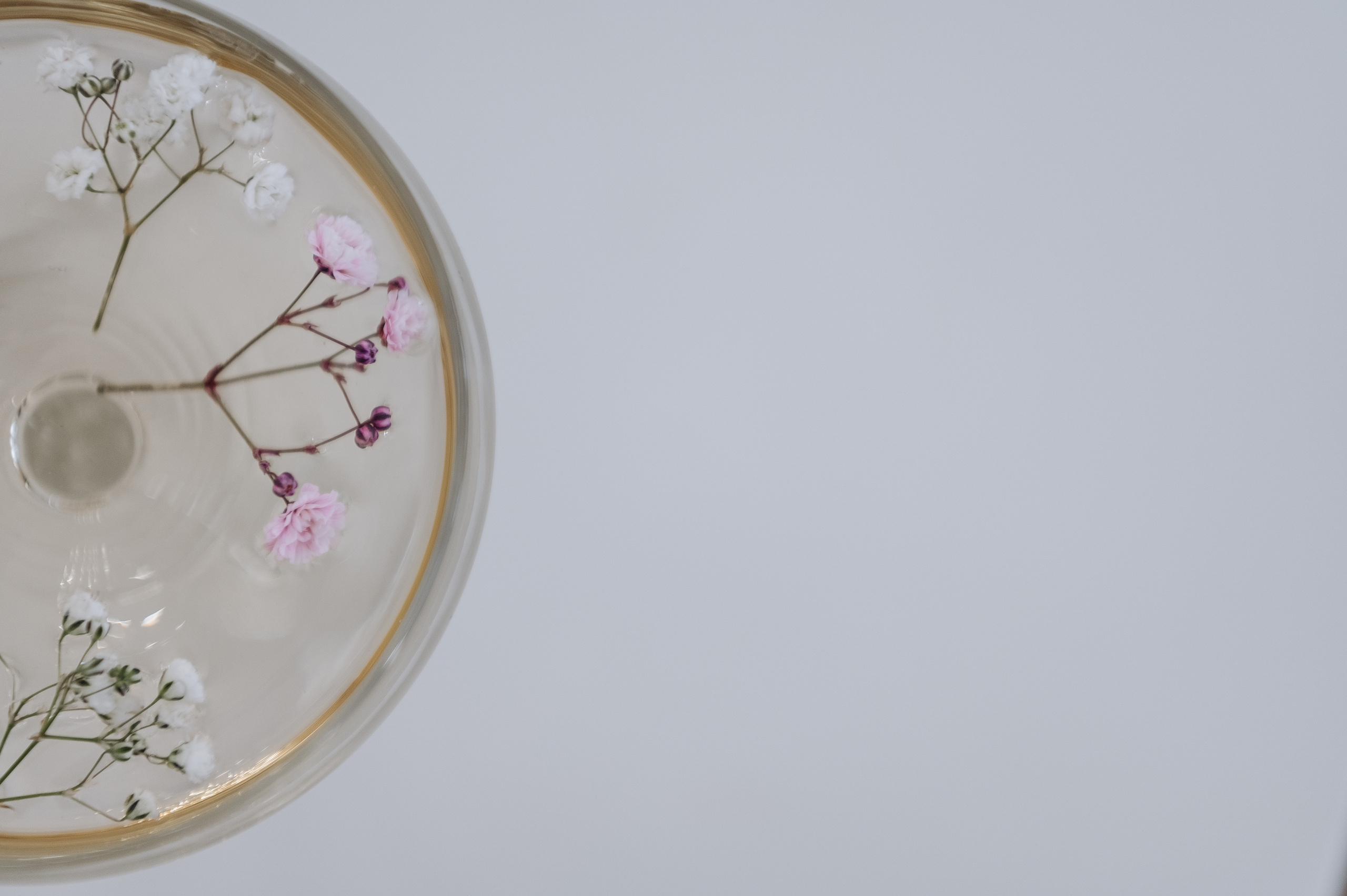 Алина и Денис