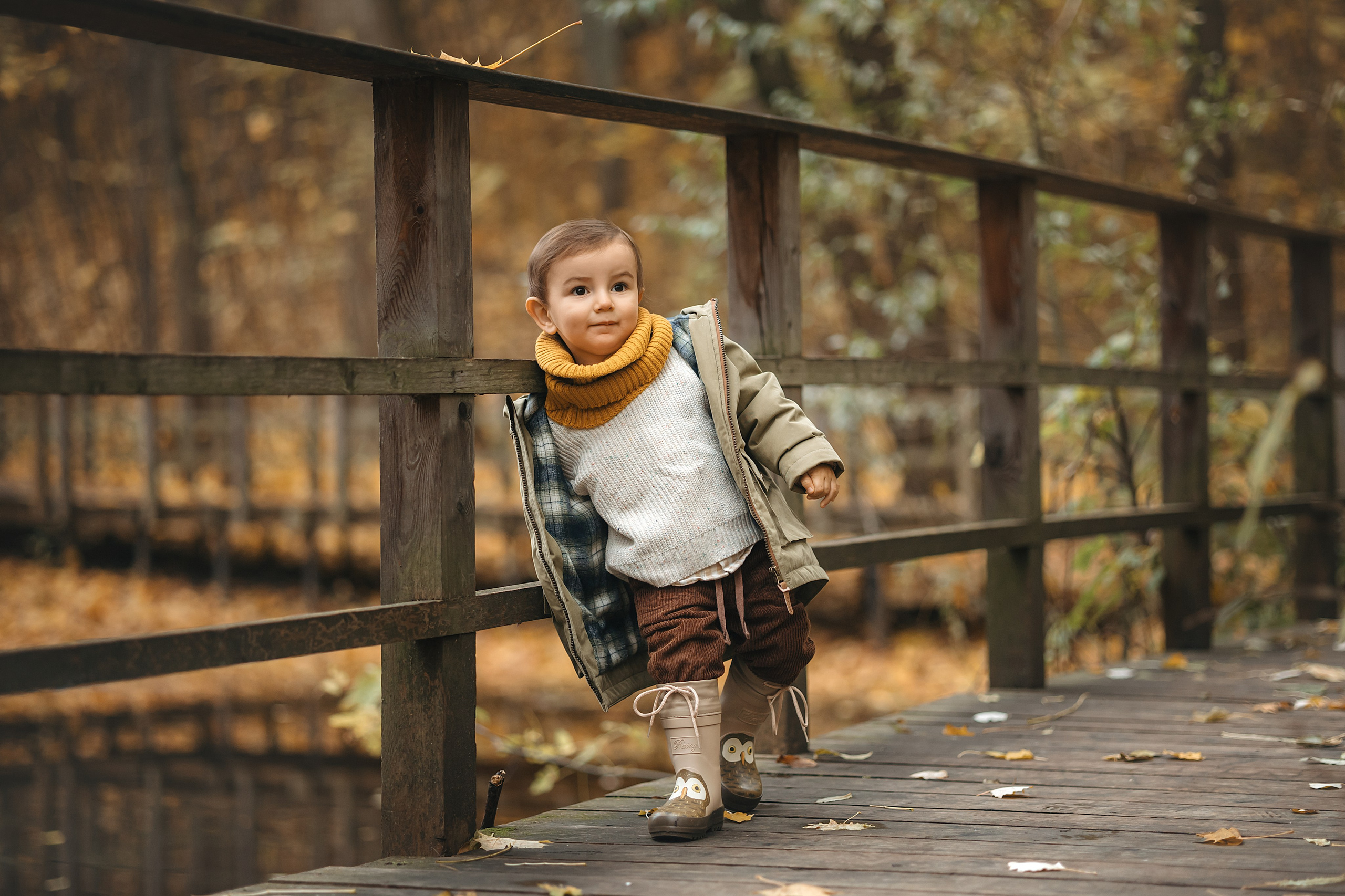Осень в Нескучном саду (в обработке). Фотограф Анималист в Москве Анастасия Жучкова