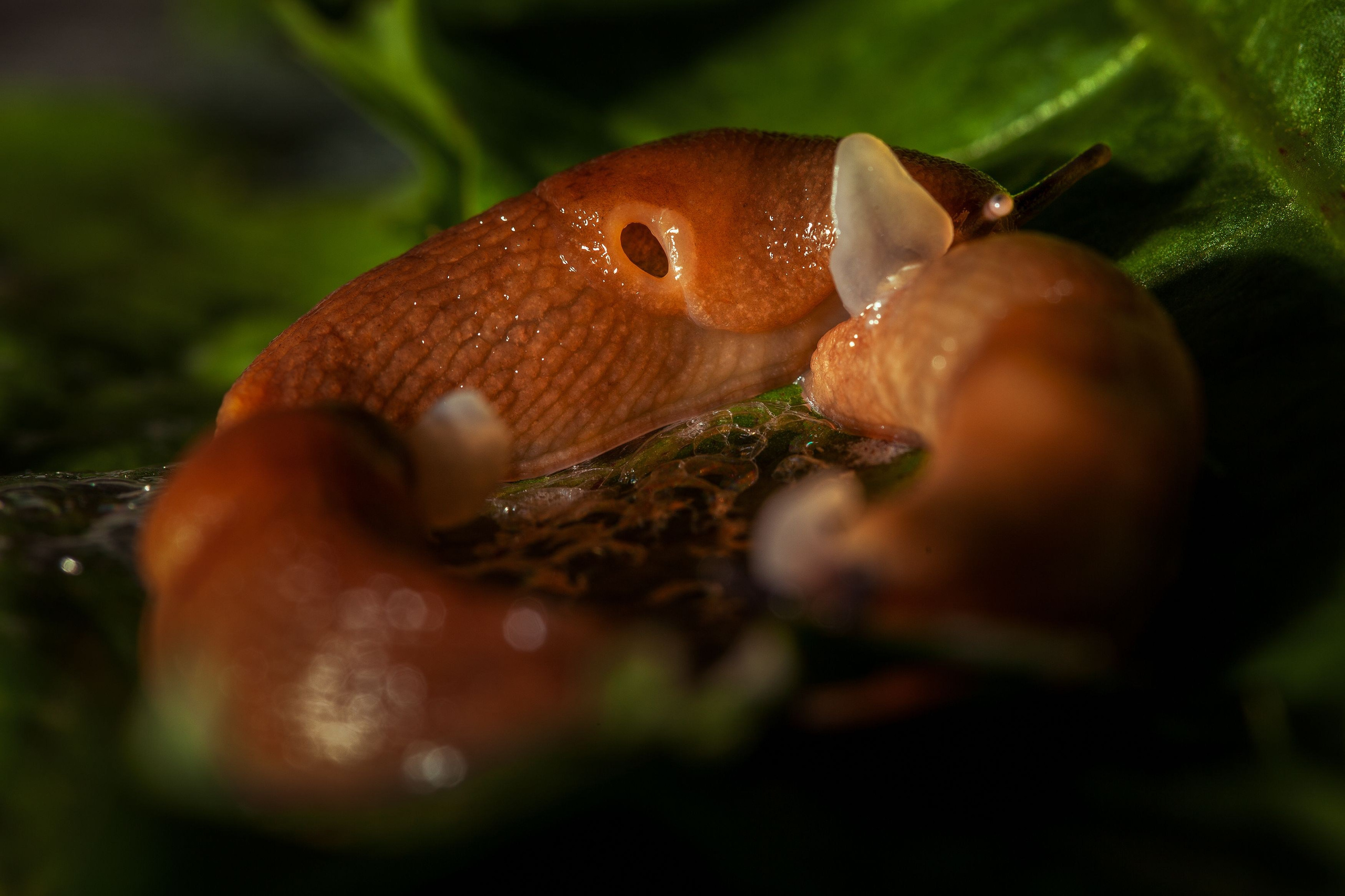 Красота вокруг нас. Медиапродюсер, фотограф в Минеральных Водах —Виктор Холодов