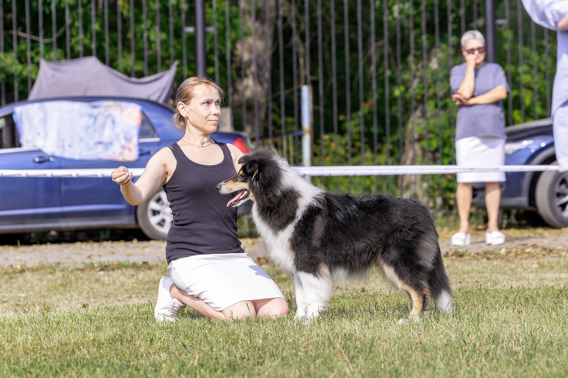 2–3 августа 2025, Выставка РКФ, г. Пермь. Htykk_photo