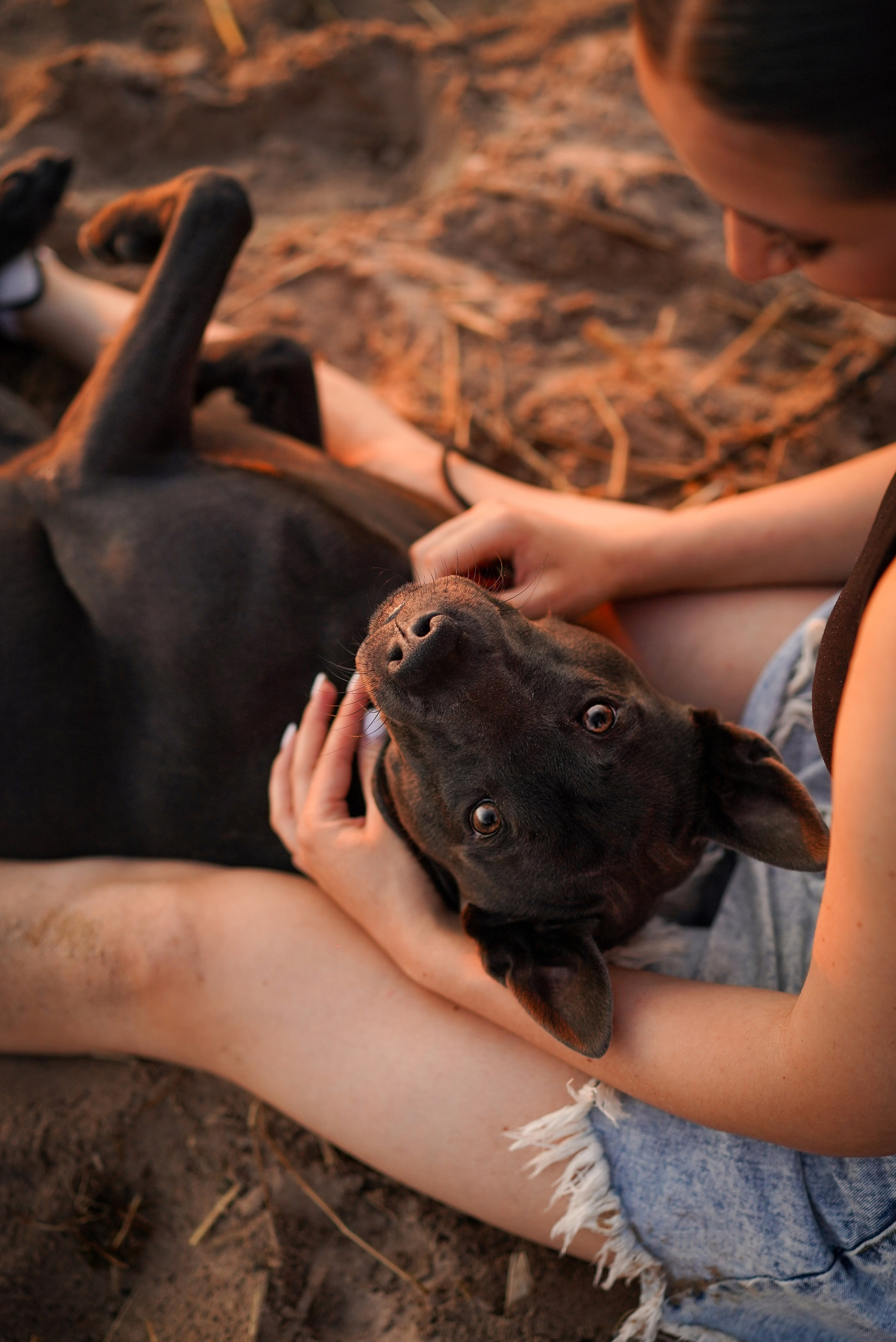 Вероника и Адам. Фотограф-анималист в Санкт-Петербурге Яна Мартынова