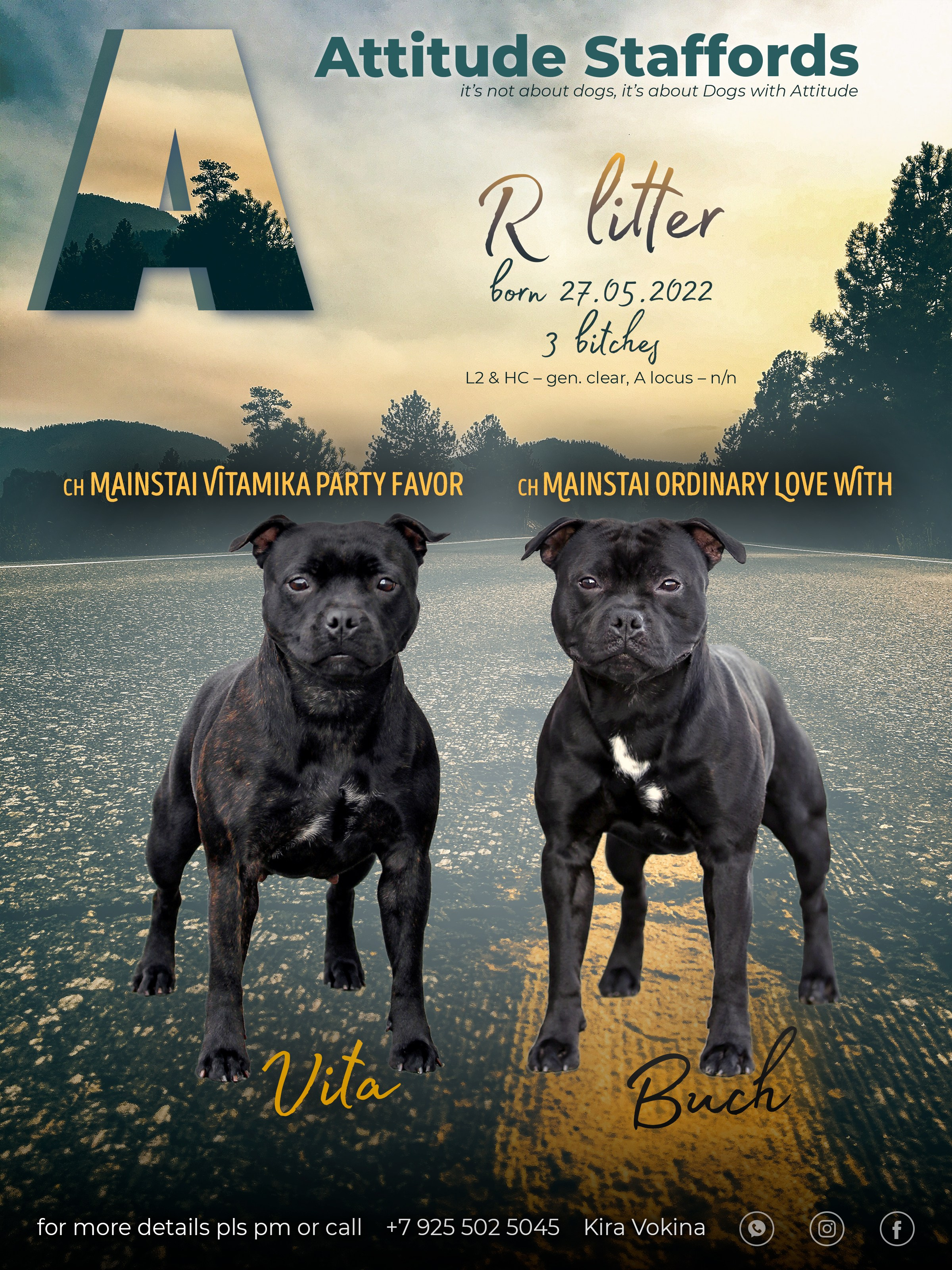 Дизайн. Фотограф-анималист в Калуге Мария Шерскова