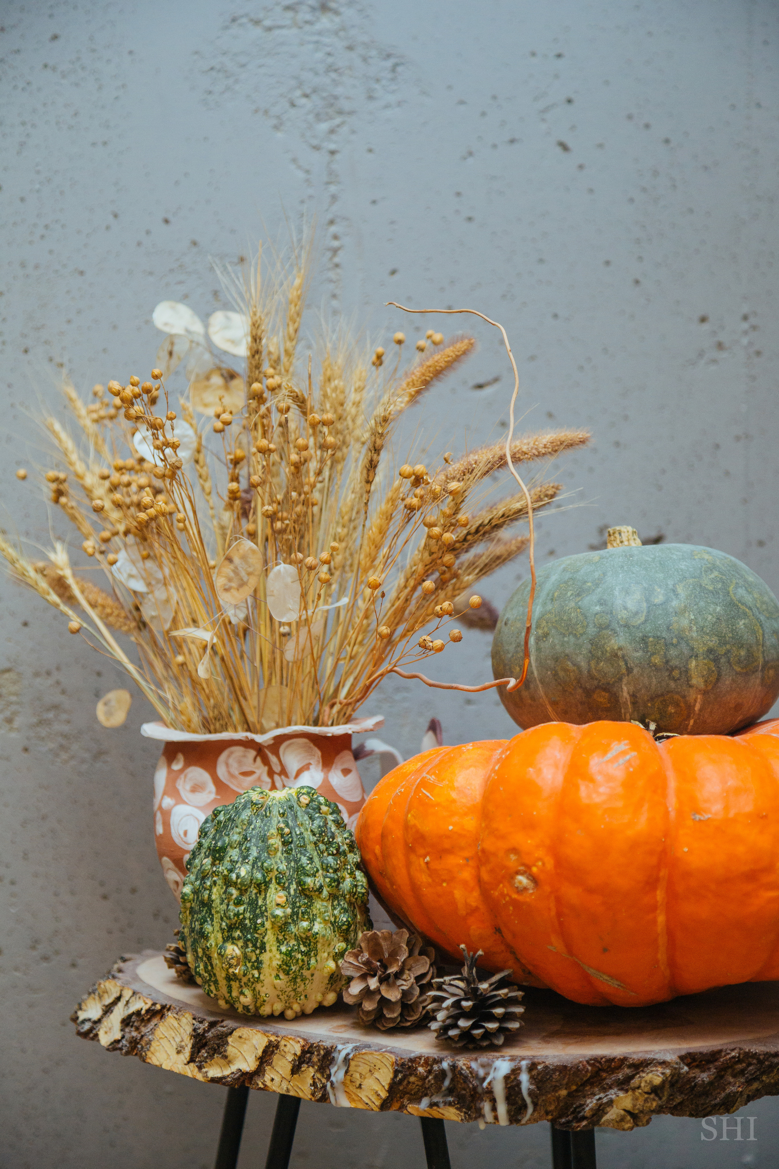 Репортажная съёмка. Семейный фотограф Ира Шашова Санкт-Петербург