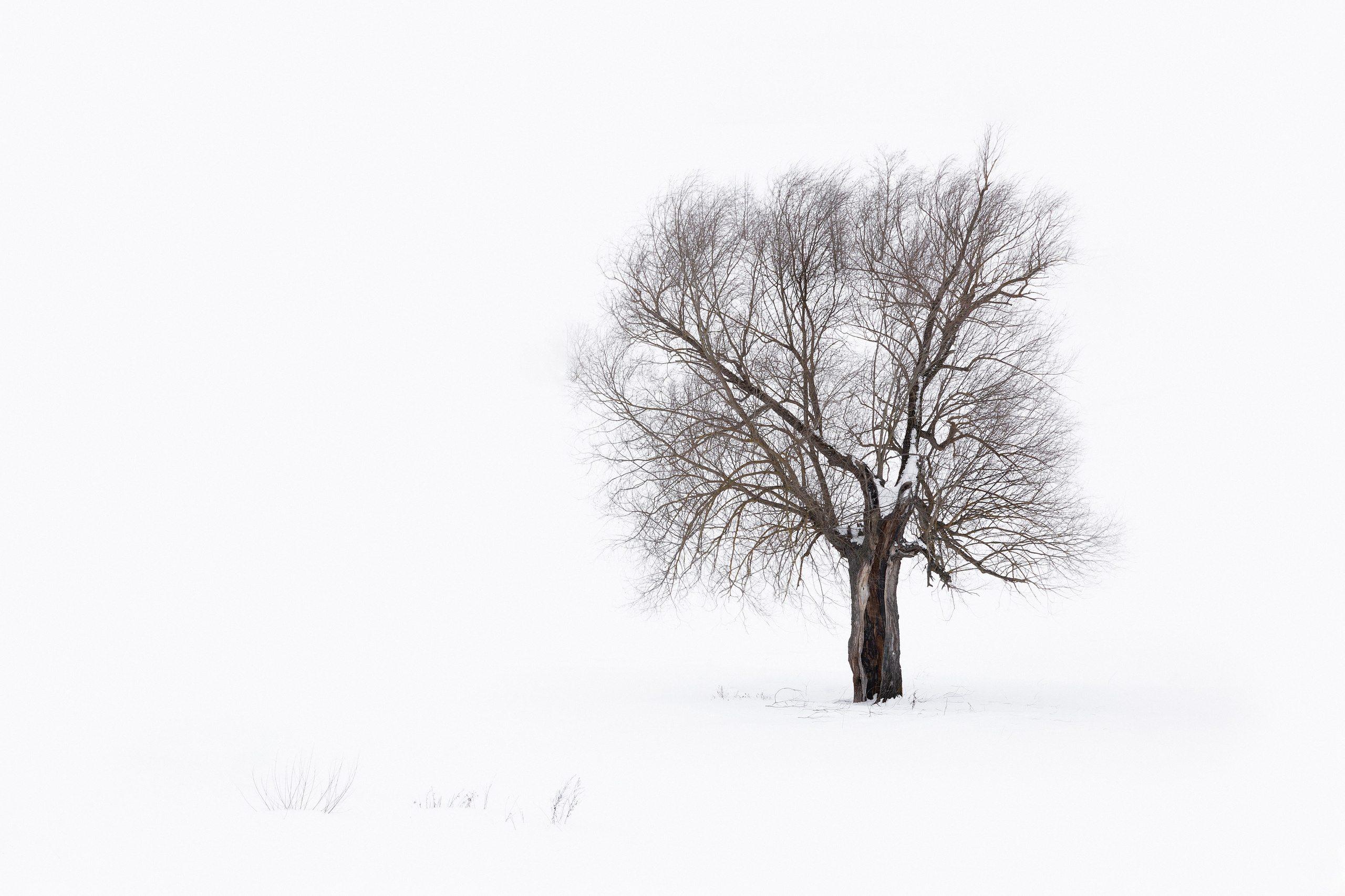 Фотограф Ольга Дунаева