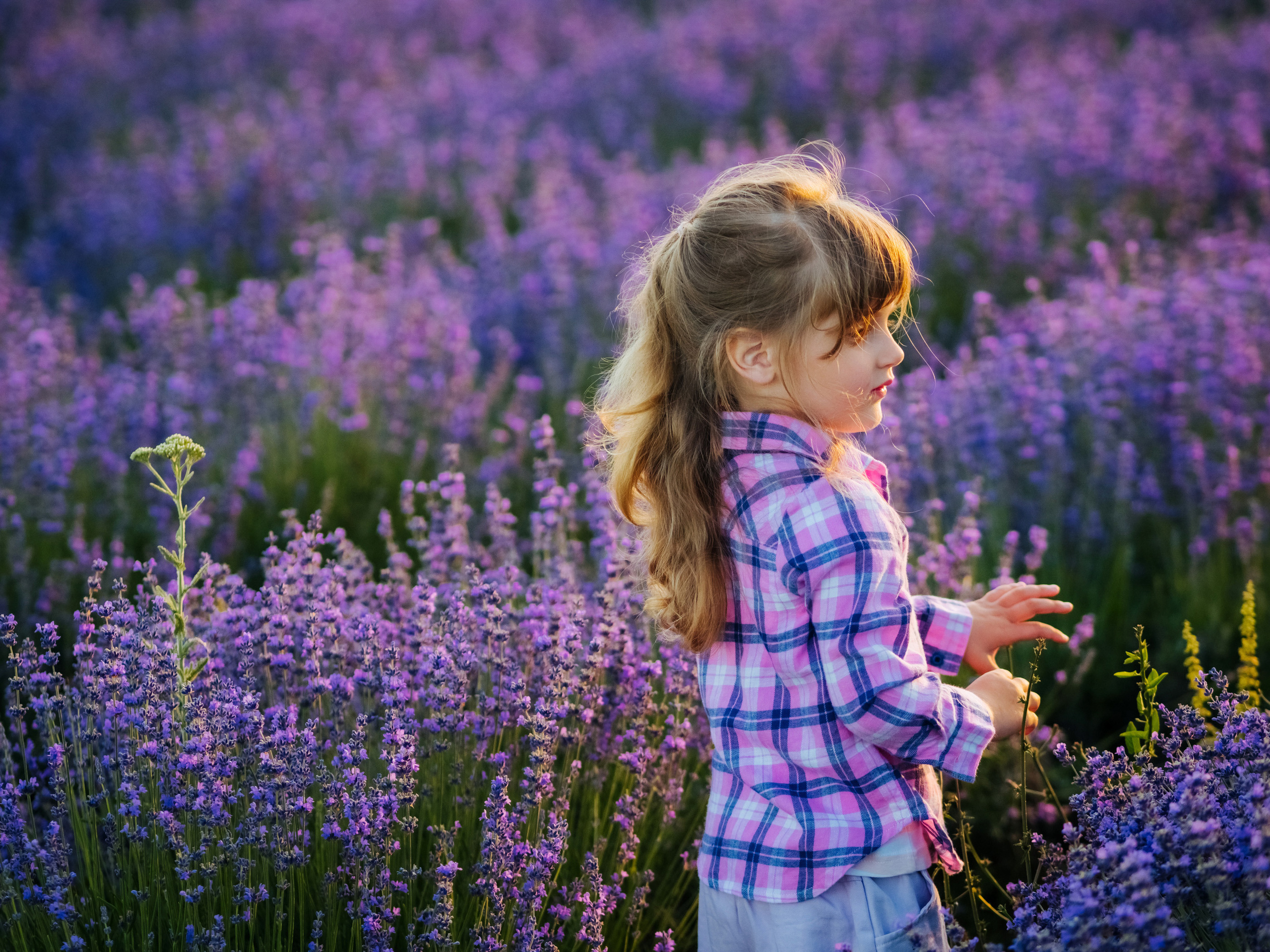 Снимаю с душой! Фотограф Ломакина Юлия. Анапа. 89618282827. Семейный, детский, свадебный, фотограф в городе Анапа