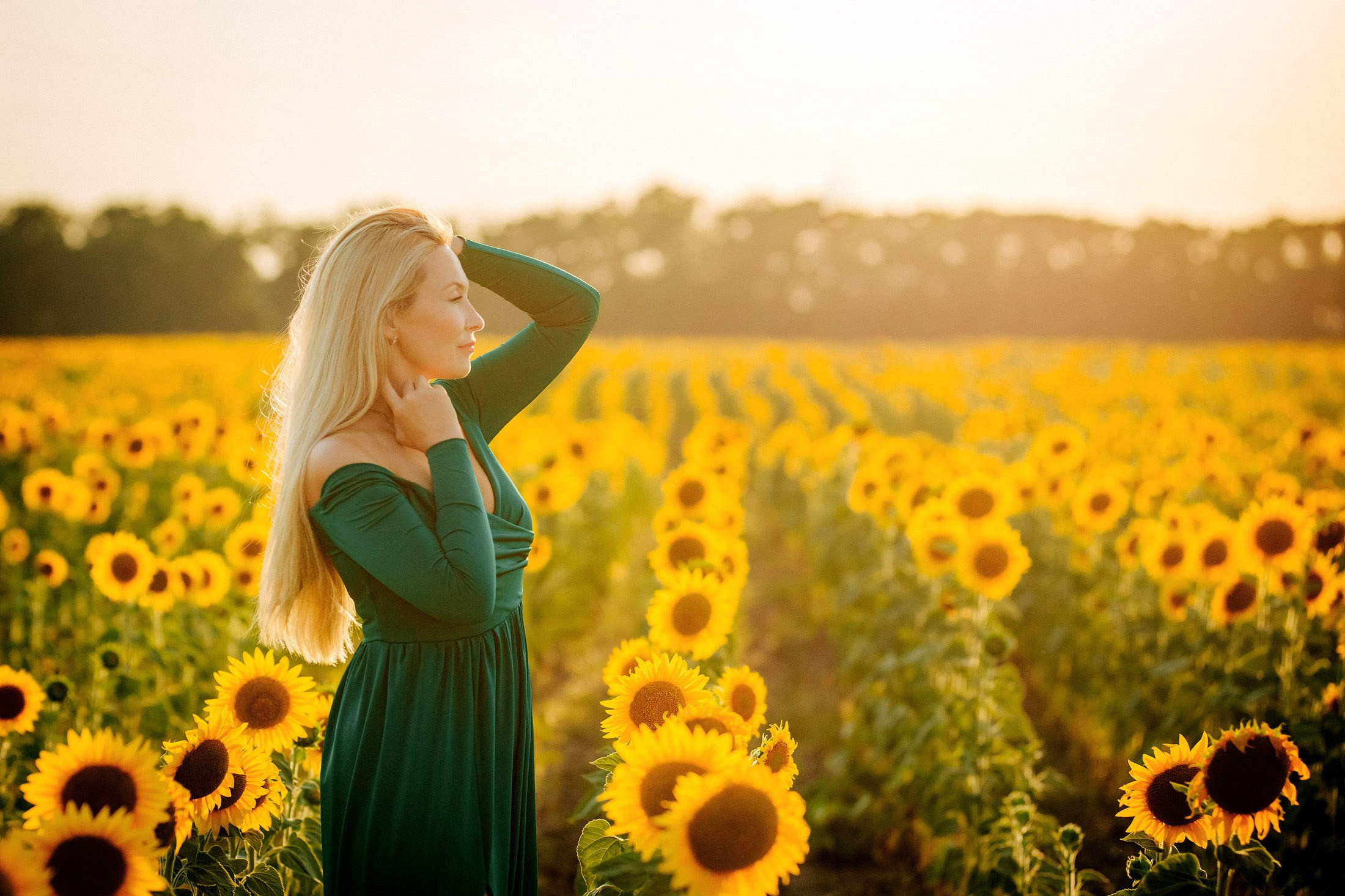 Подсолнухи!. Семейный, детский, свадебный, фотограф в городе Анапа