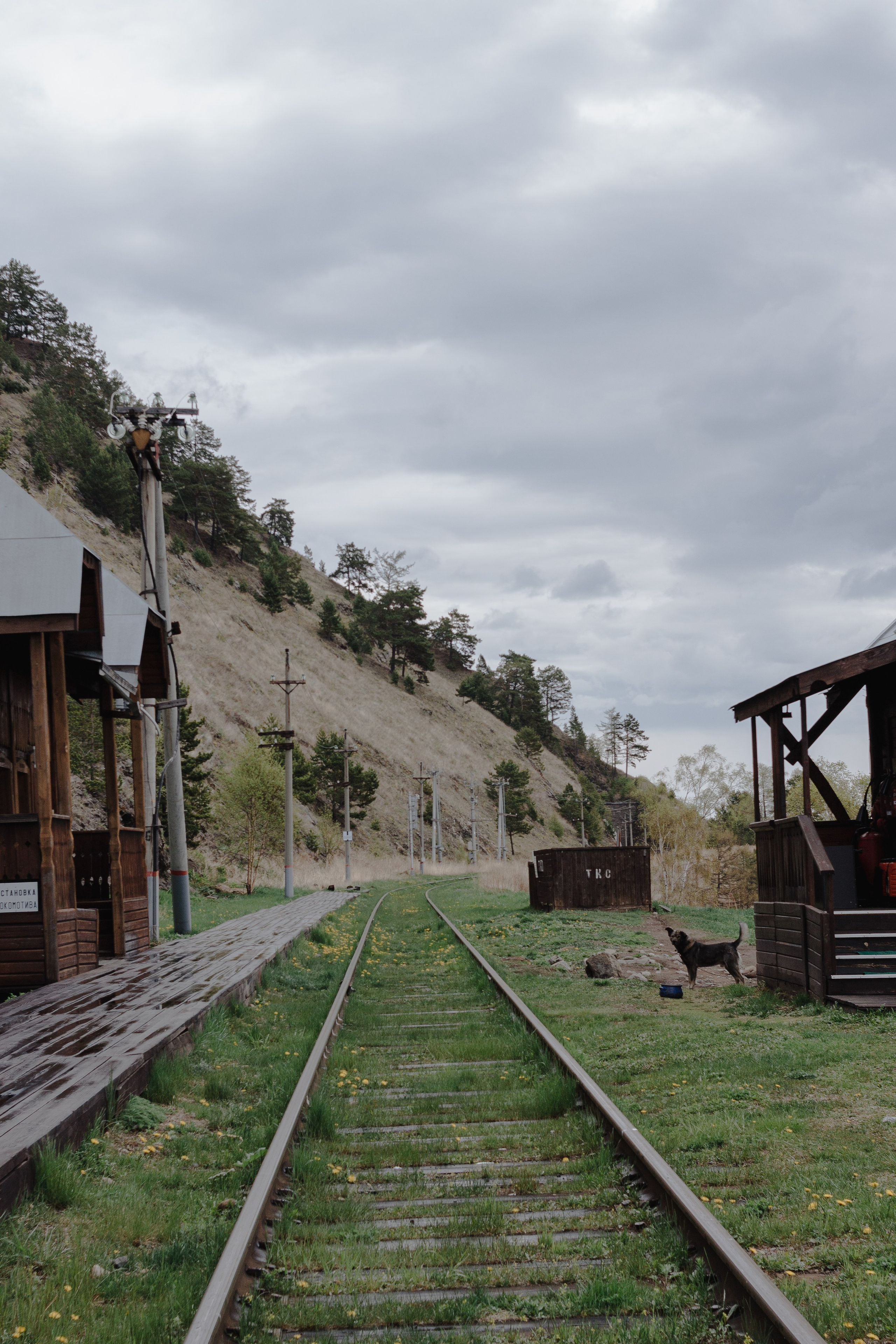 Ретрит на&nbsp;Байкале / Школа Ведических знаний SoVA / 7 дней, 2023
