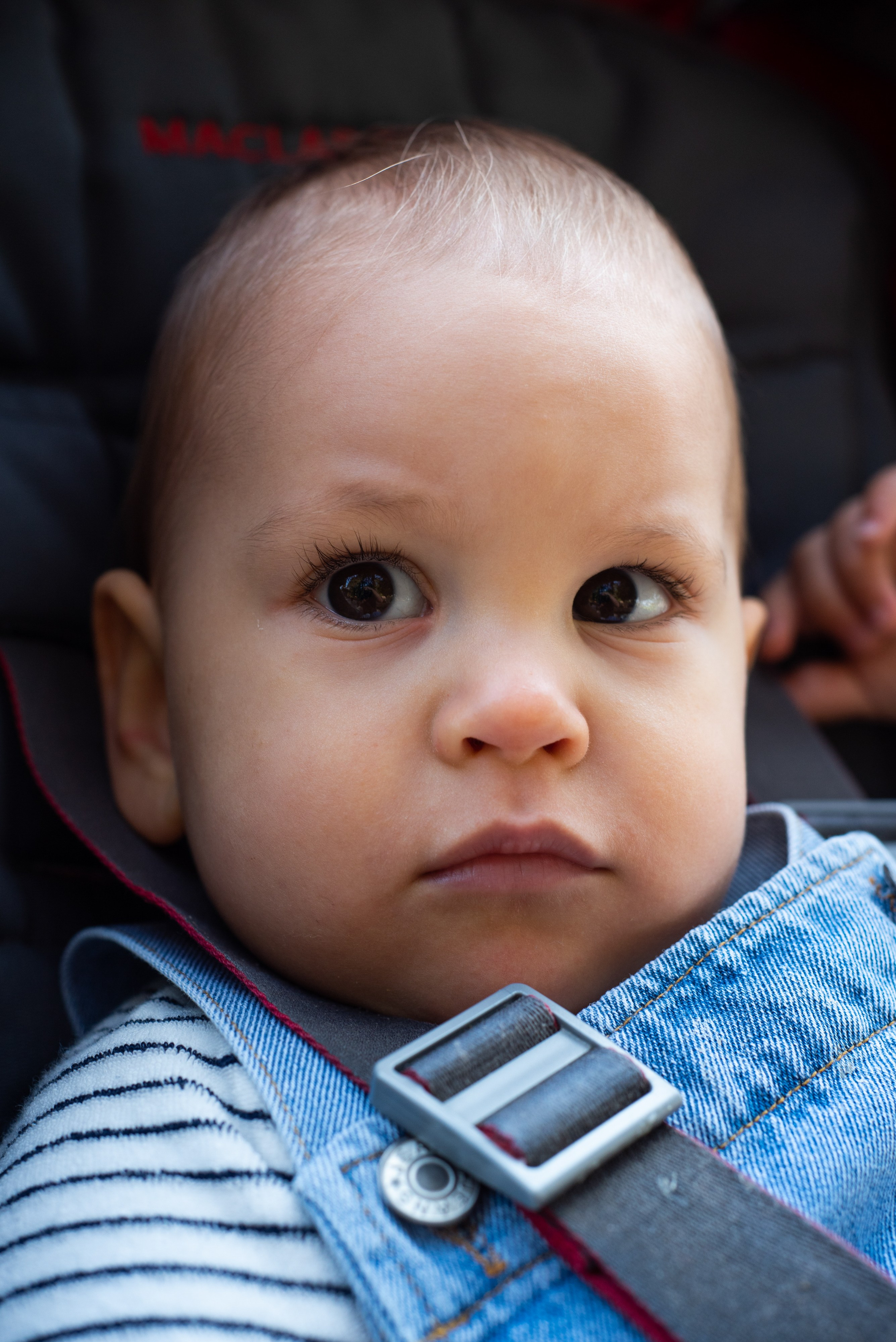 Семейные. Свадебный и репортажный фотограф Антон Воробьев