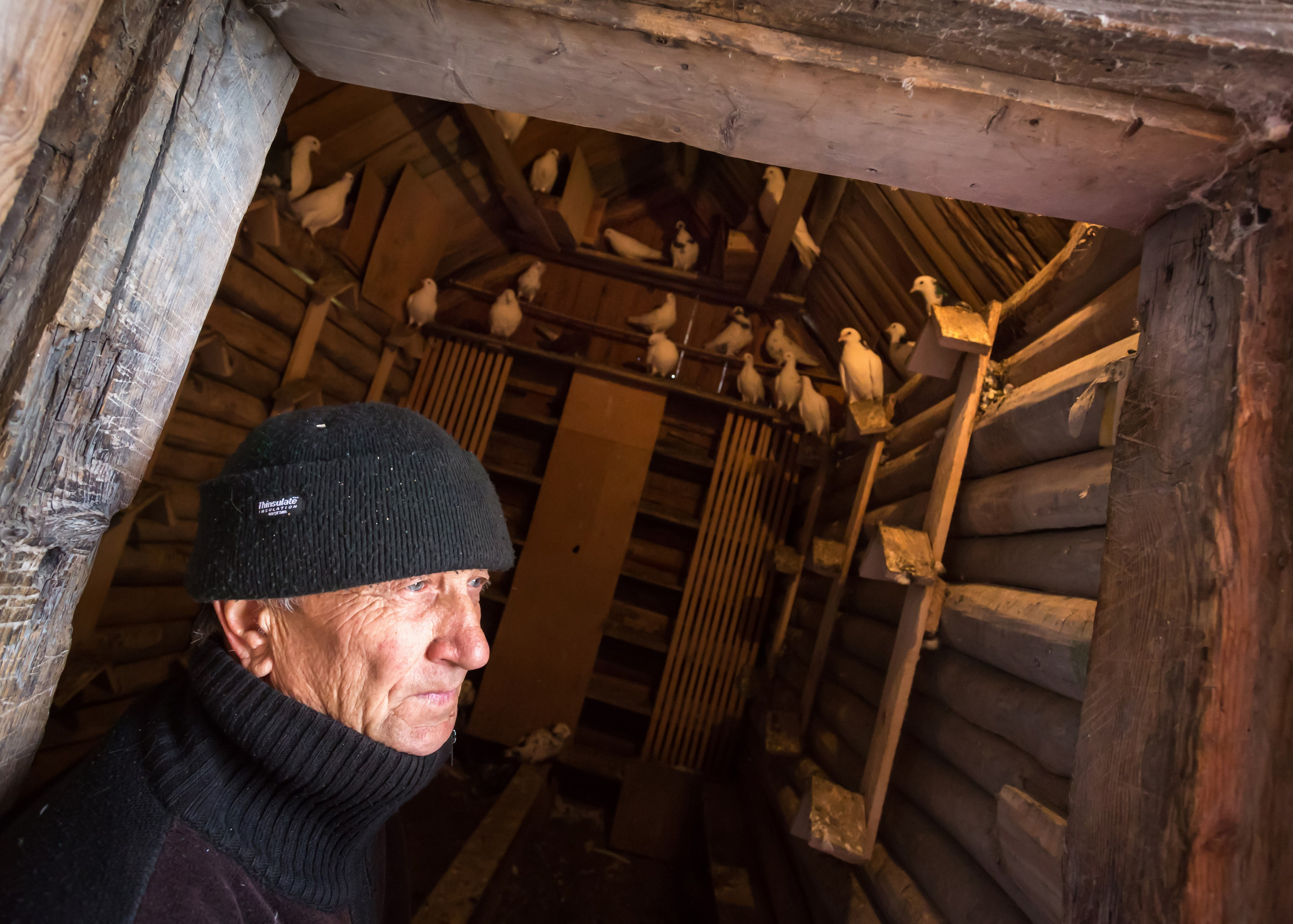 ХВАЛЫНСК: ГОРОД НА ДНЕ МОРЯ. Контакты