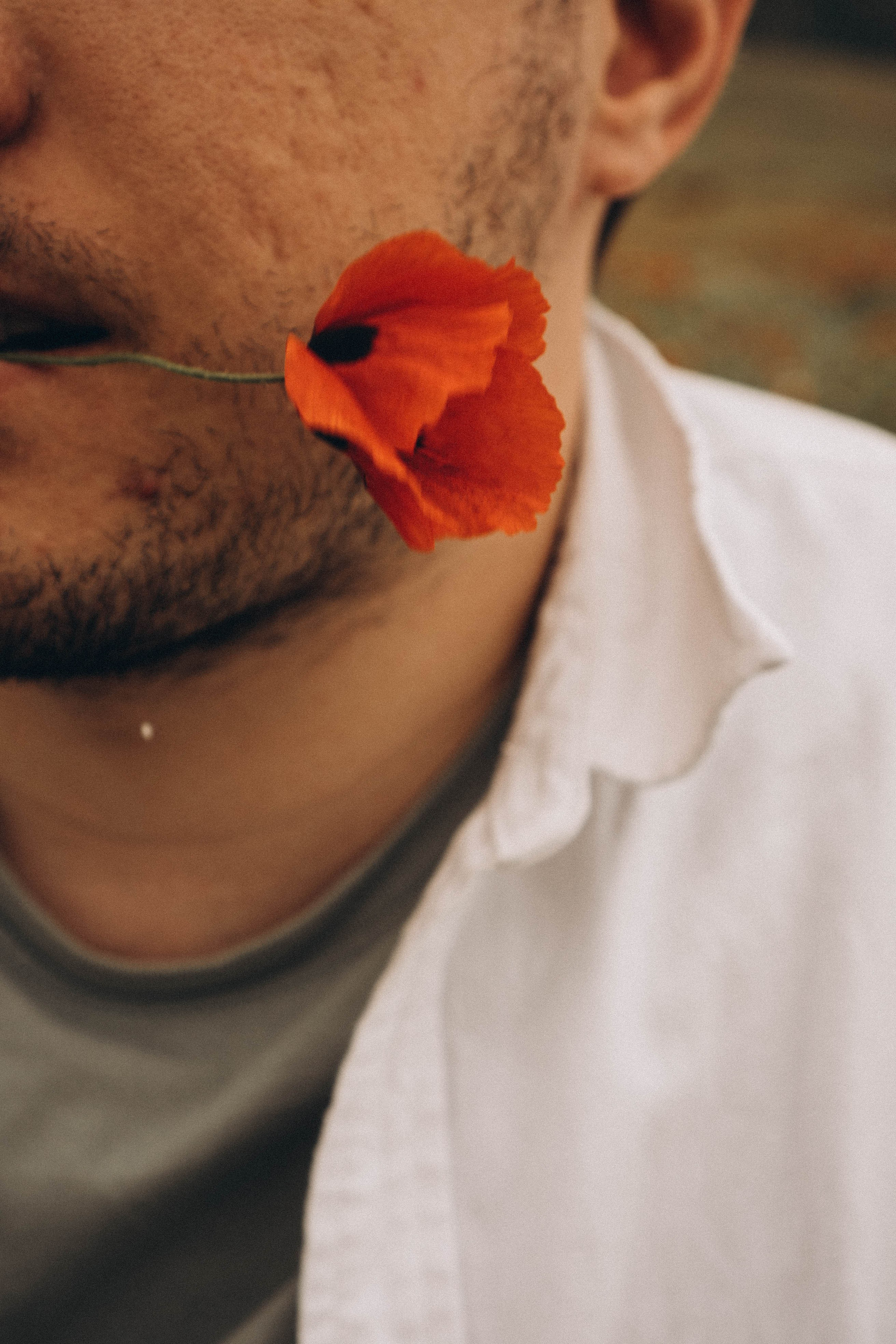 Маки. Профессиональный фотограф, Санкт-Петербург — Виктория Богомолова