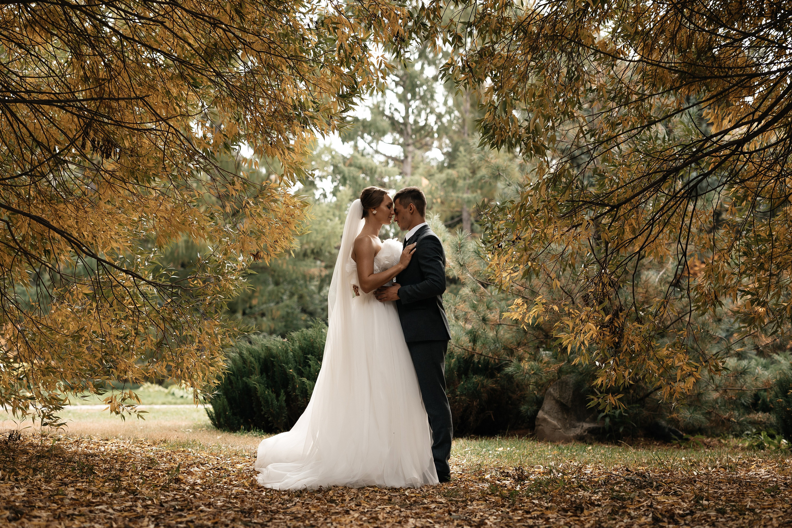 Дарья & Дмитрий | 22.09.23. Свадебный и семейный фотограф в Омске Евгения Хакимова