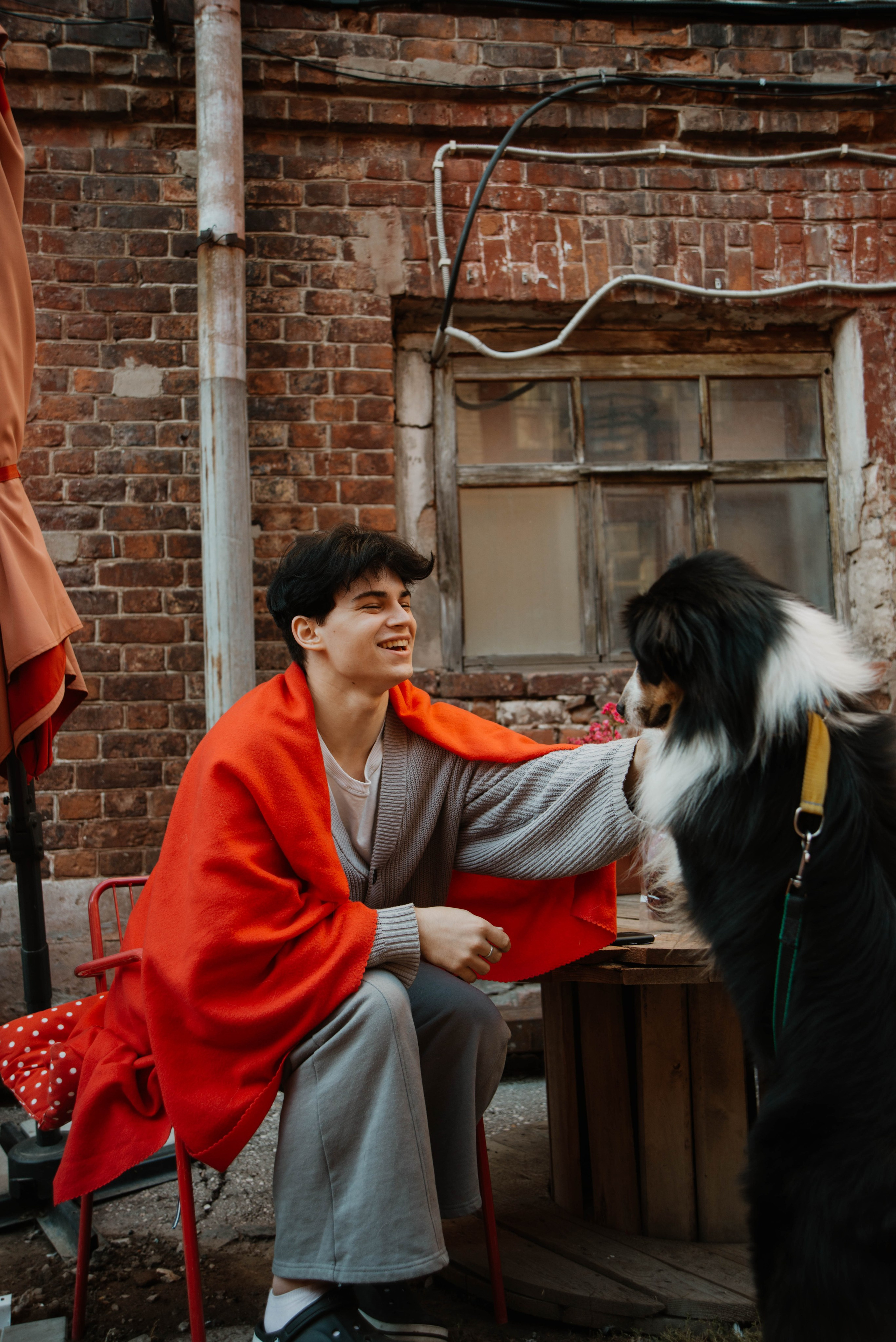 Дог-вечеринка на летнике «Кутёж». Ксения Glossa. Портретный и репортажный фотограф в Самаре