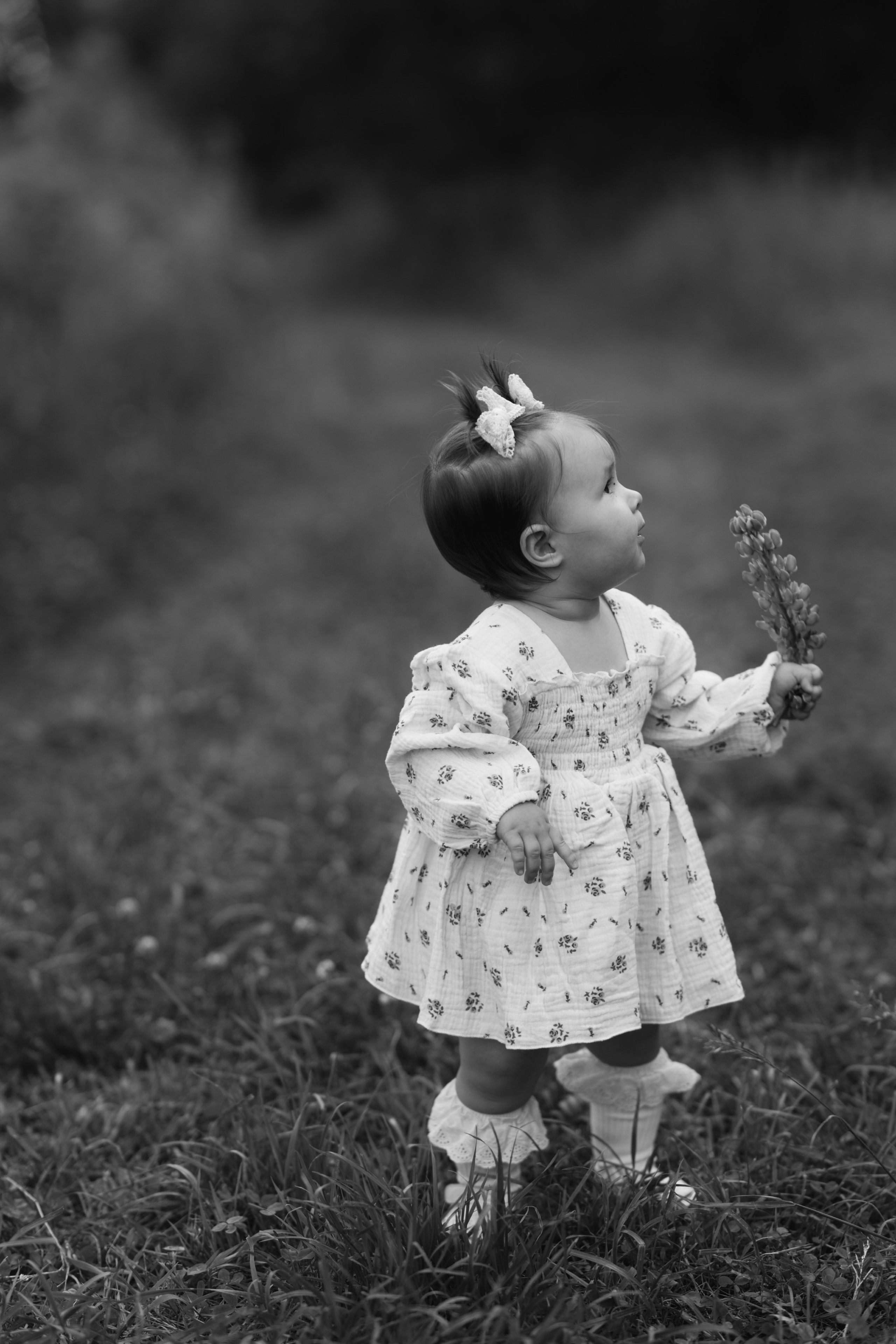 В люпинах. Свадебный и семейный фотограф в Туле и области Маша Костина