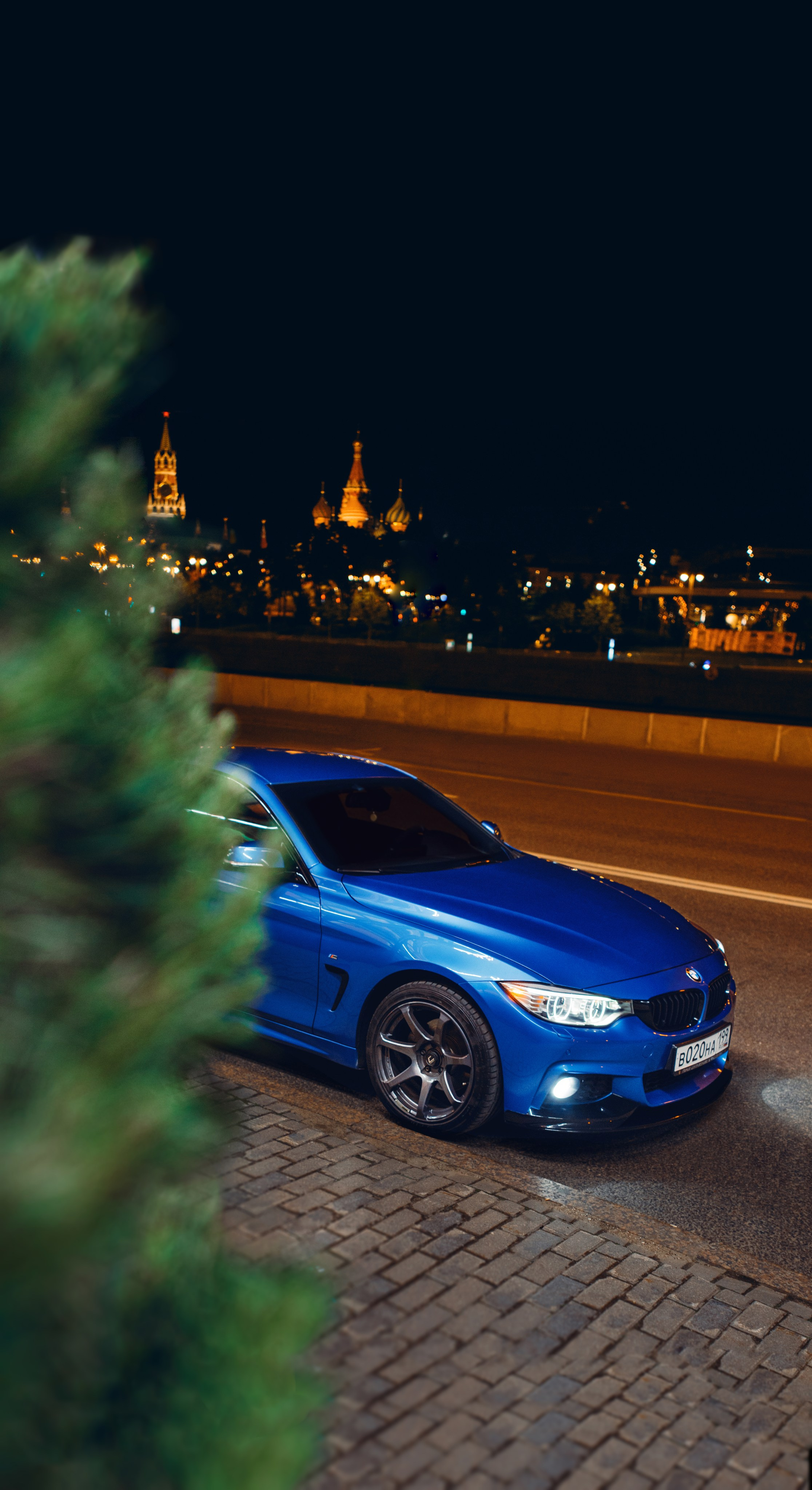 BMW F32 bobnikolaevich. DeLorein