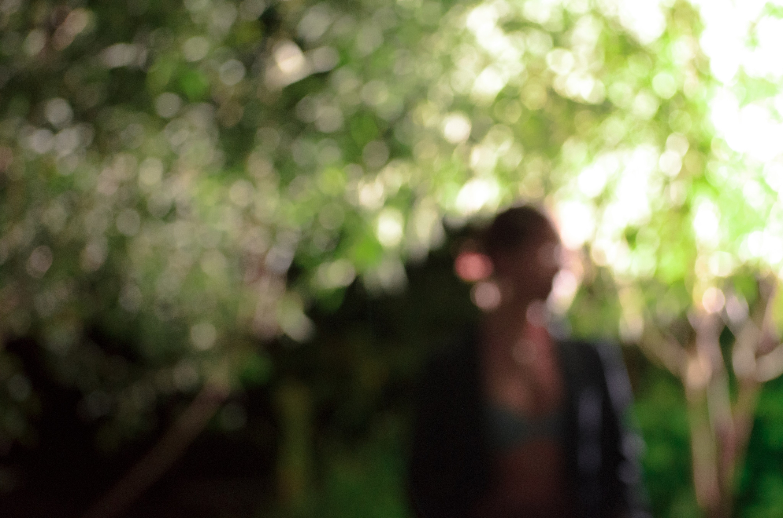 арт, портрет, фотосессия. фотограф, фотография, портретная съемка, женщина, венера, руки, art, photo, photographer, photography, women, хабаровск, украшения, художник. jewerly 