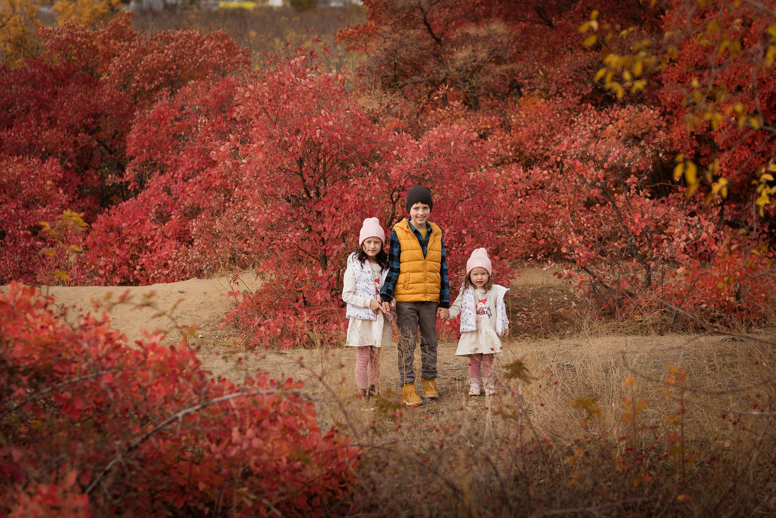 Осень. Свадебный и семейный фотограф Яна Стражева. Волгоград, Москва